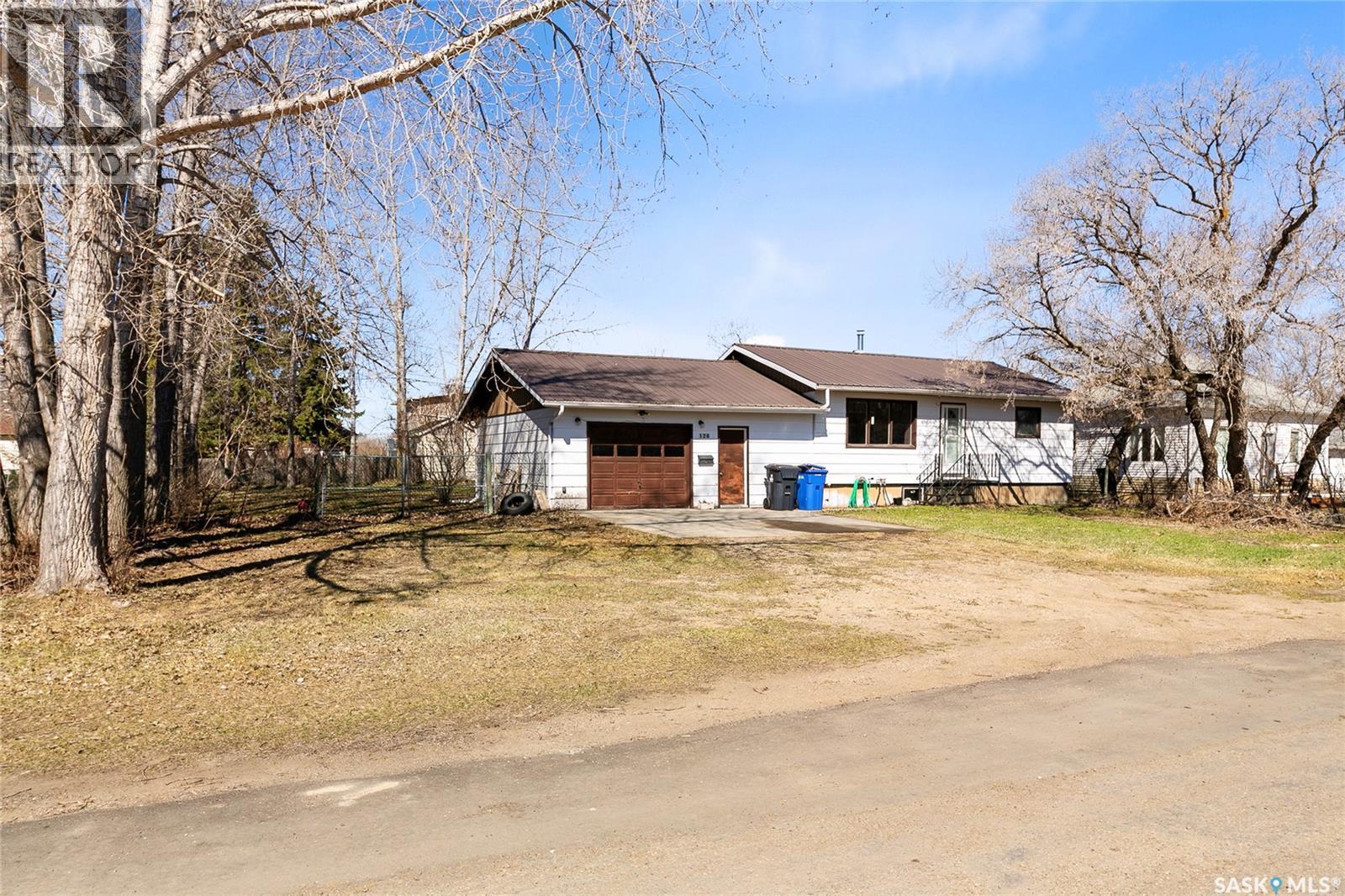 128 Pearson Street, Earl Grey, Saskatchewan  S0G 1J0 - Photo 32 - SK035261