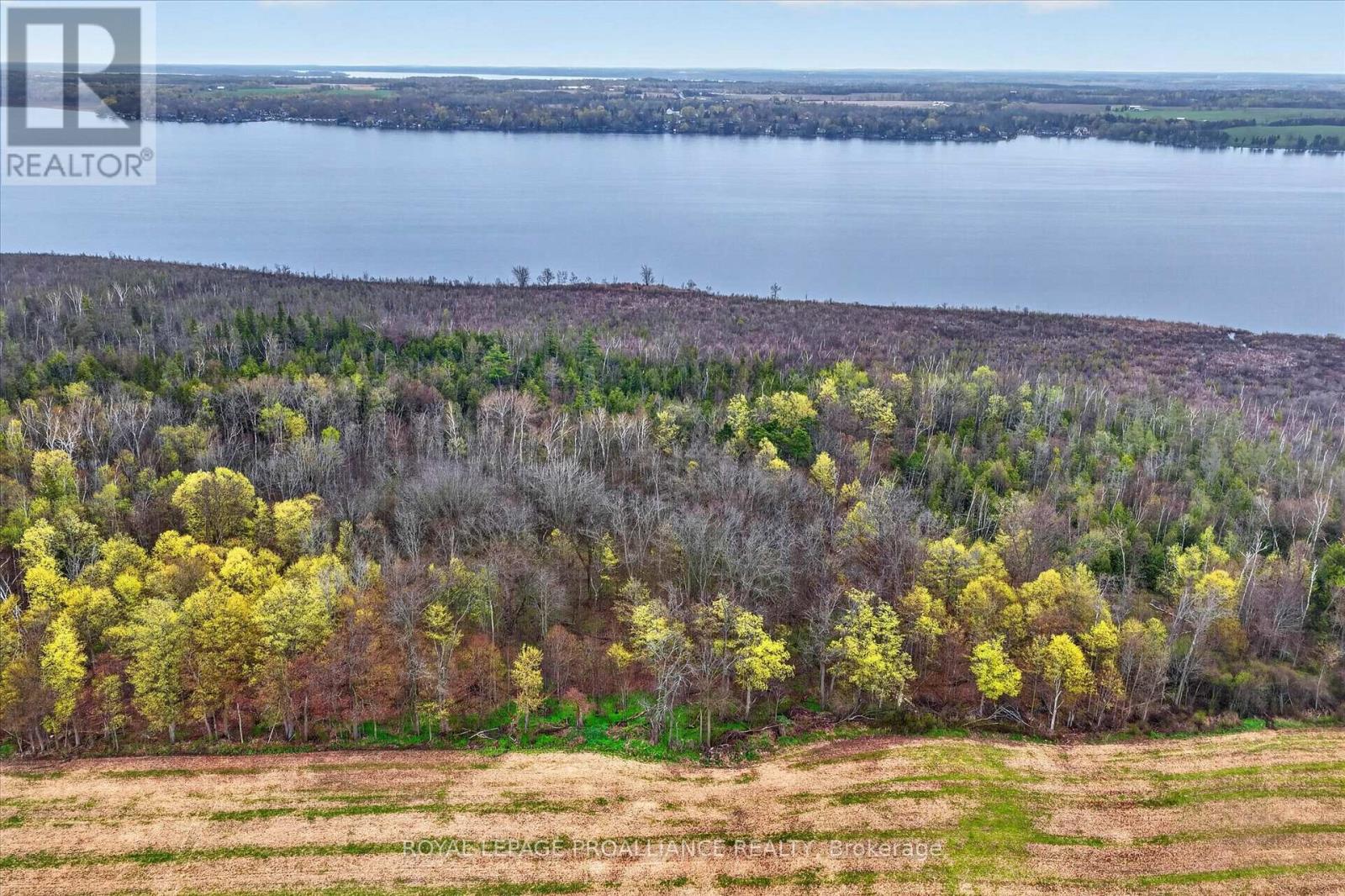 0 Whitfield Road, Scugog, Ontario  L0C 1G0 - Photo 12 - E13098668