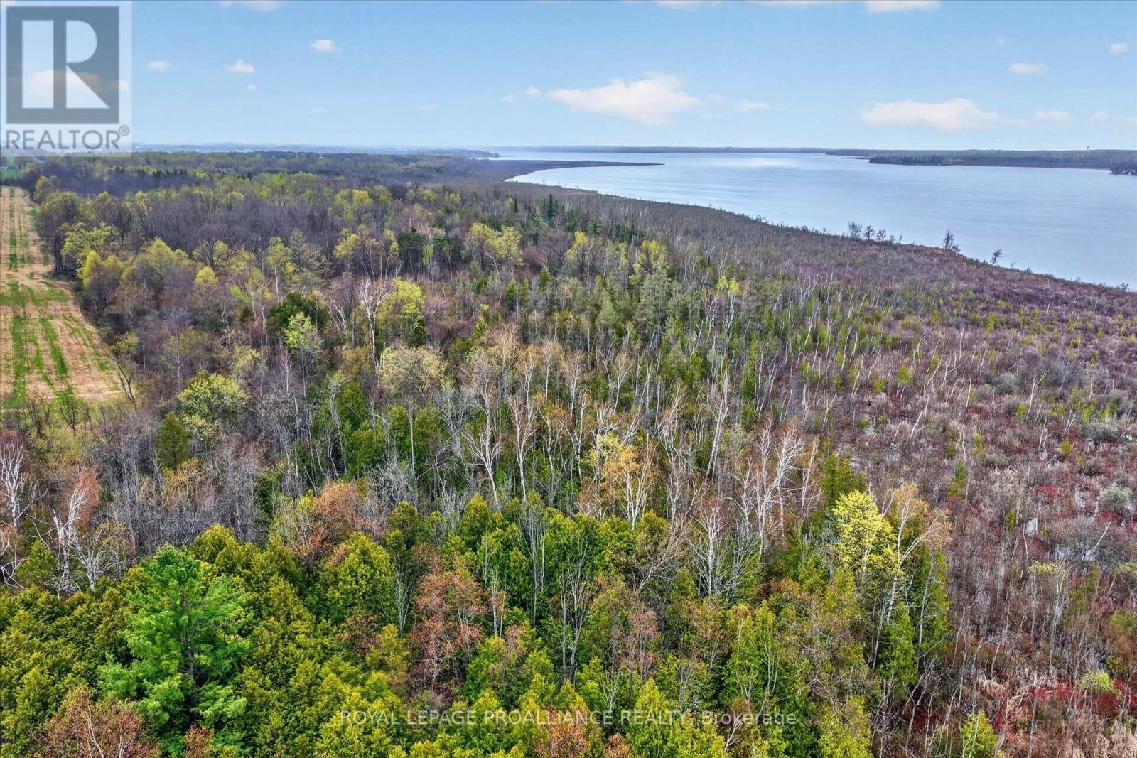 0 Whitfield Road, Scugog, Ontario  L0C 1G0 - Photo 14 - E13098668