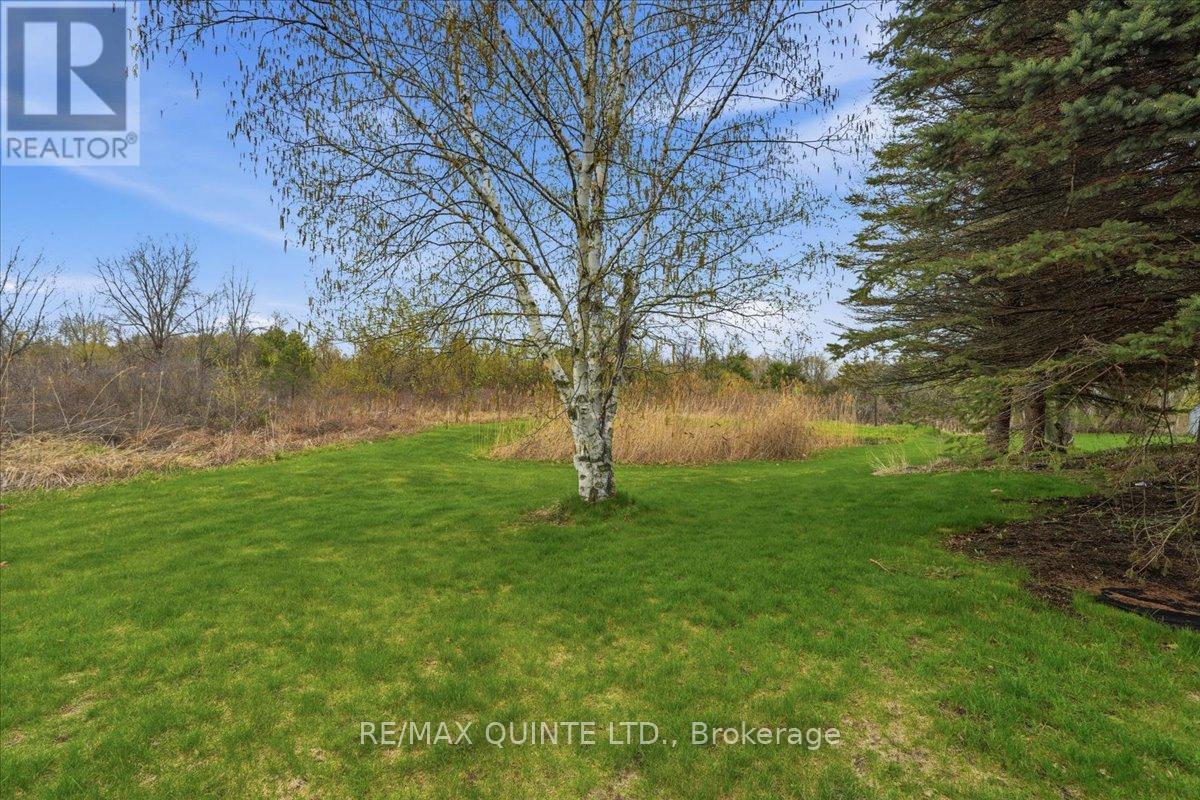 1325 County Rd 40, Quinte West, Ontario  K8V 5P4 - Photo 8 - X13098688