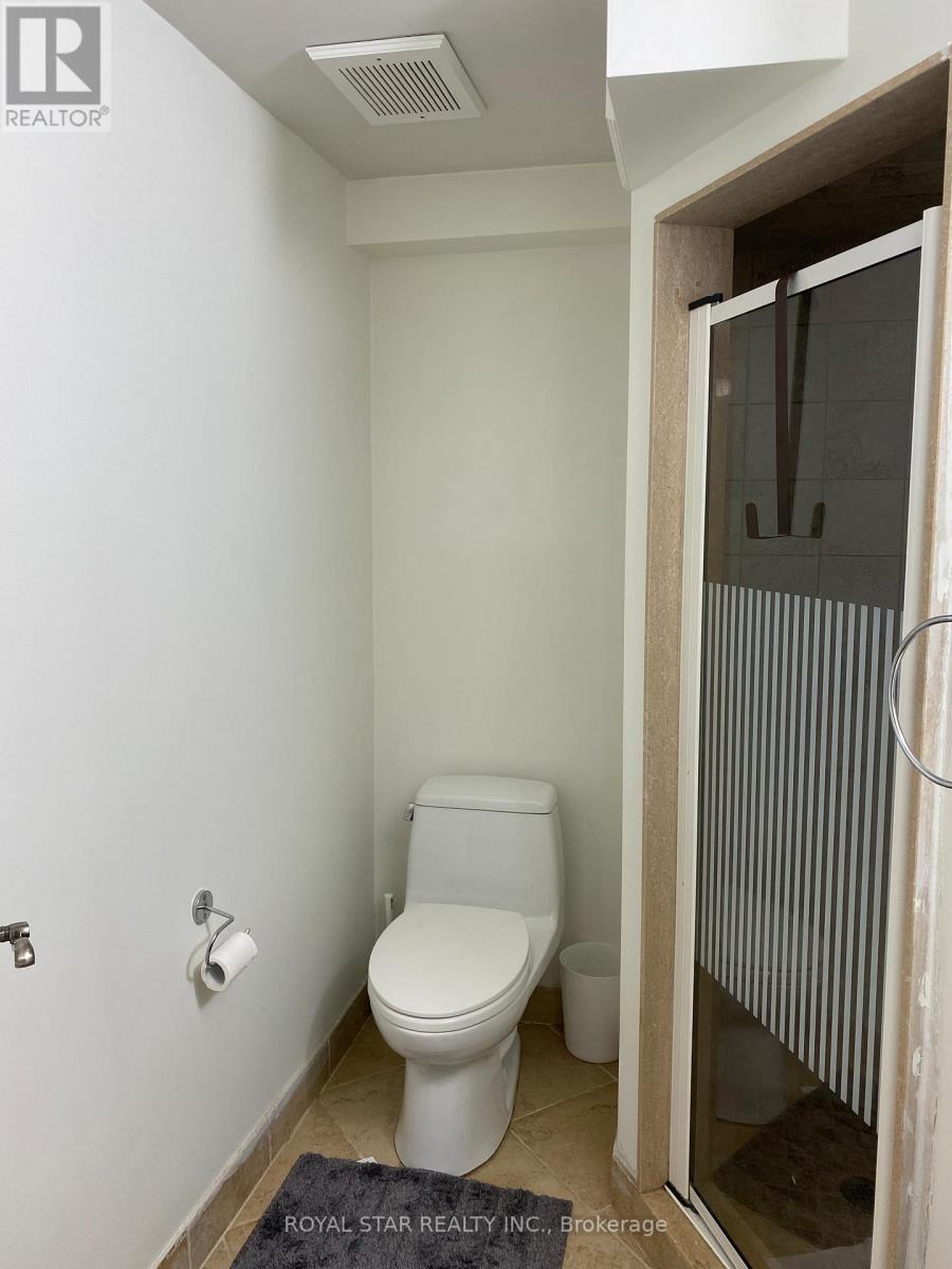Bsmt - 48 Sunnywood Crescent, Richmond Hill (South Richvale), Ontario  L4C 6W3 - Photo 11 - N13098664