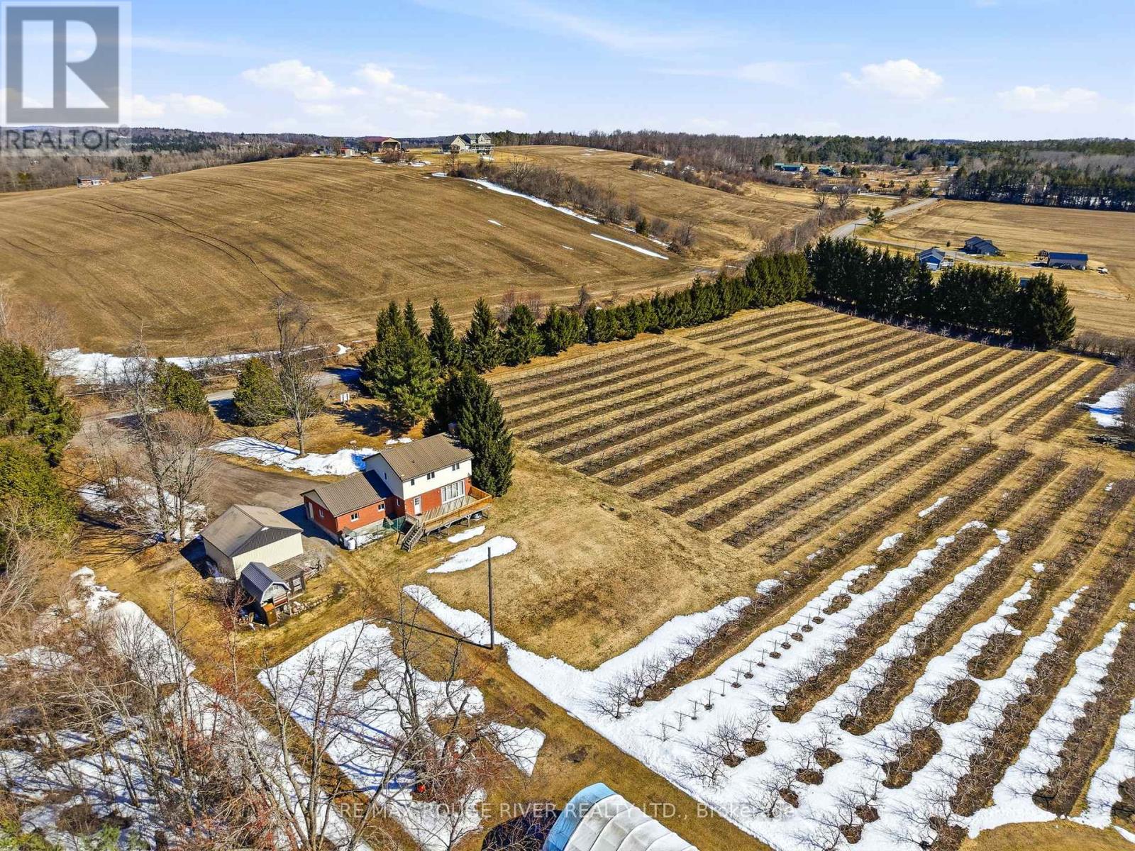223 Turk Road, Alnwick/haldimand, Ontario  K0K 2G0 - Photo 35 - X12695284