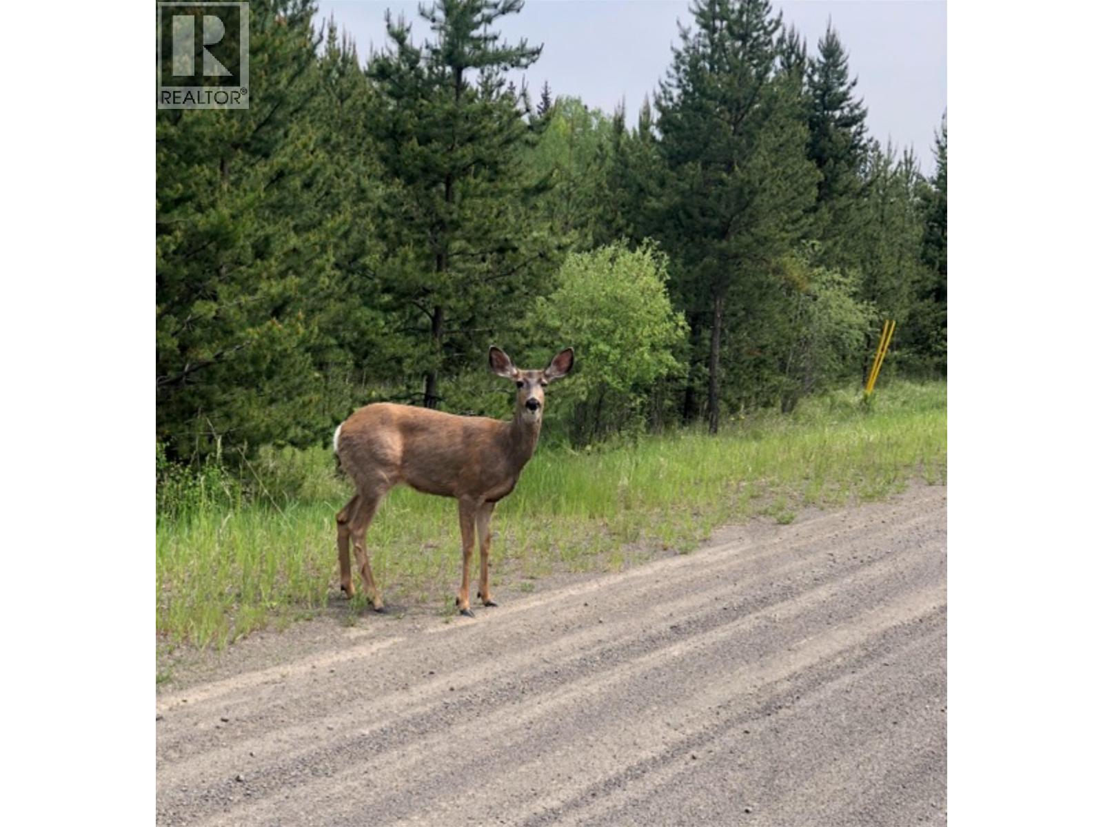 Lot 1 5916 Little Fort 24 Highway, Lone Butte, British Columbia  V0K 1X1 - Photo 4 - R3112564