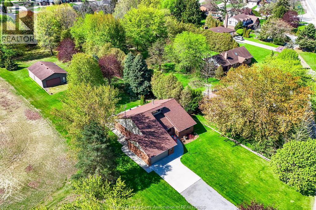 621 County Rd 20, Kingsville, Ontario