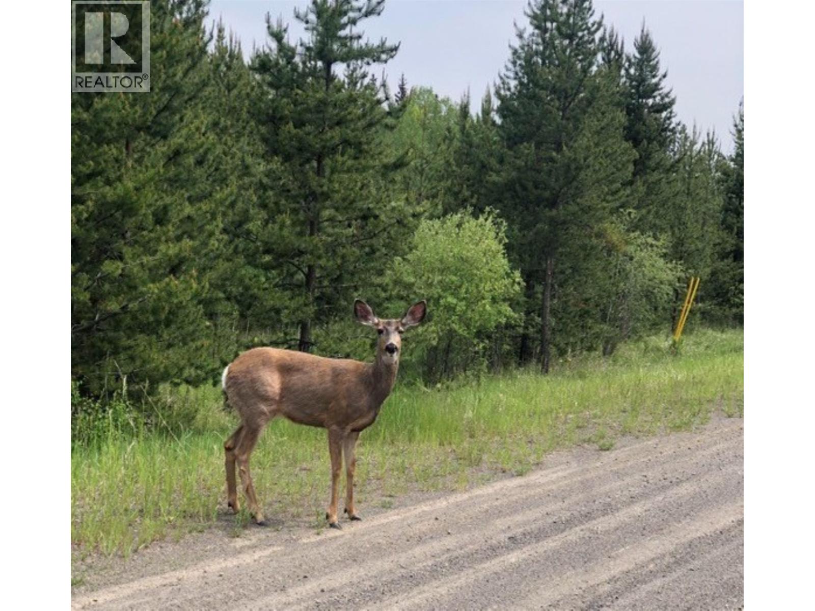 Lot 1 5916 Little Fort 24 Highway, Lone Butte, British Columbia  V0K 1X1 - Photo 1 - R3112564