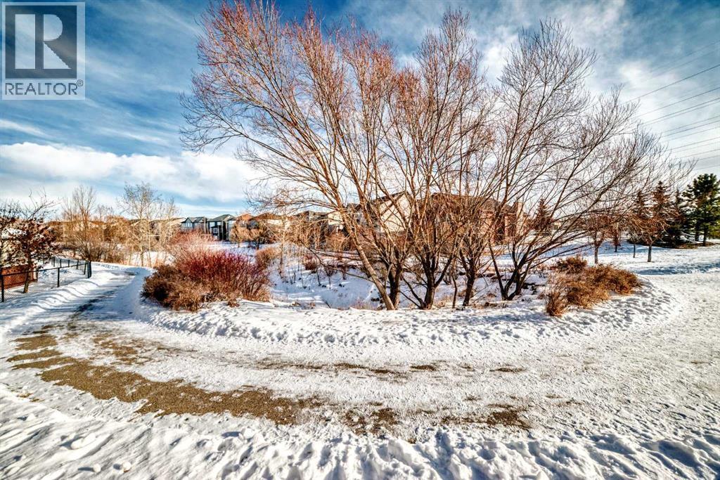 397 Rainbow Falls Drive, Chestermere, Alberta  T1X 0L1 - Photo 35 - A2278613