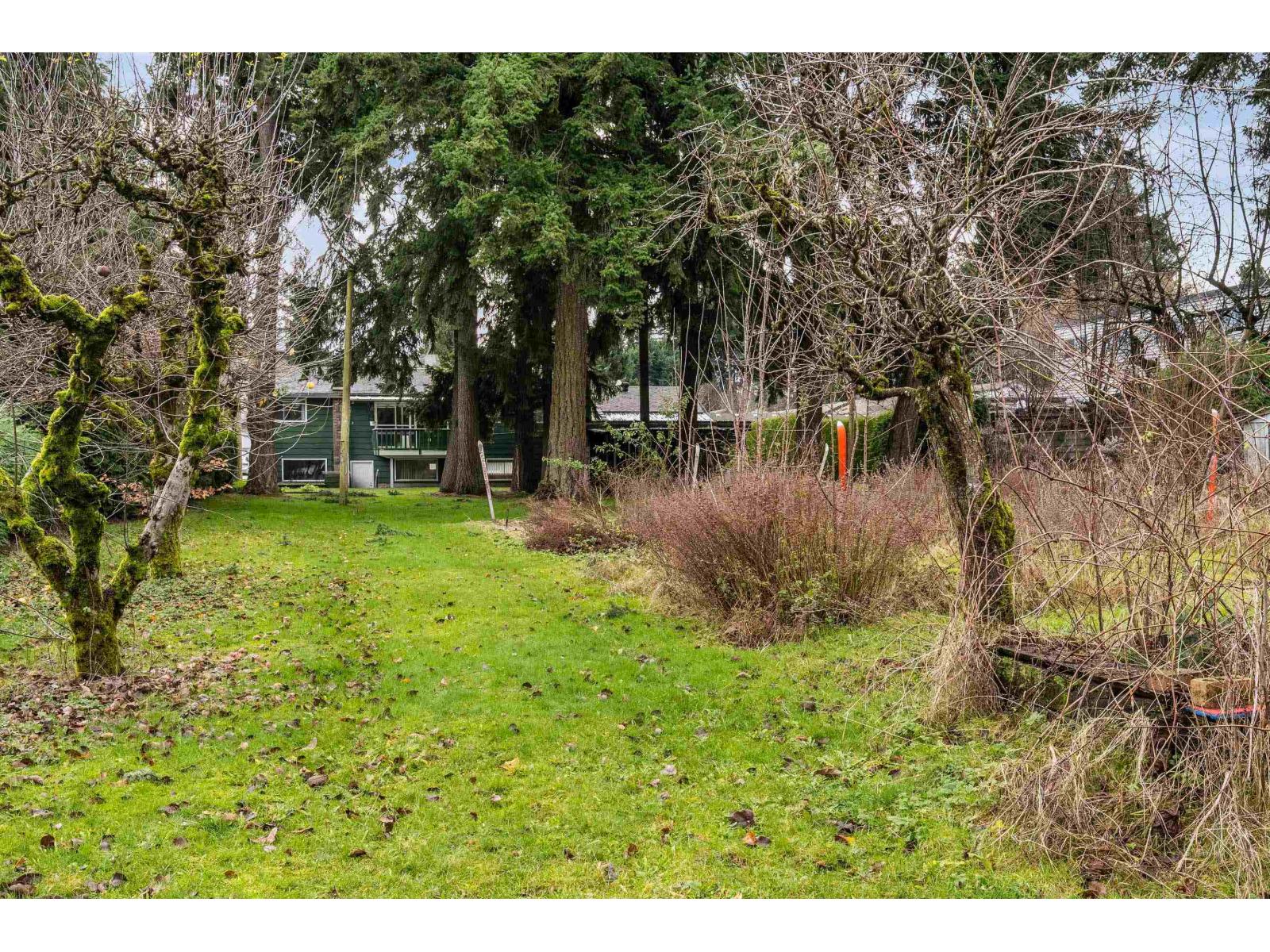 32939 Brundige Avenue, Abbotsford, British Columbia  V2S 1N3 - Photo 5 - C8078462