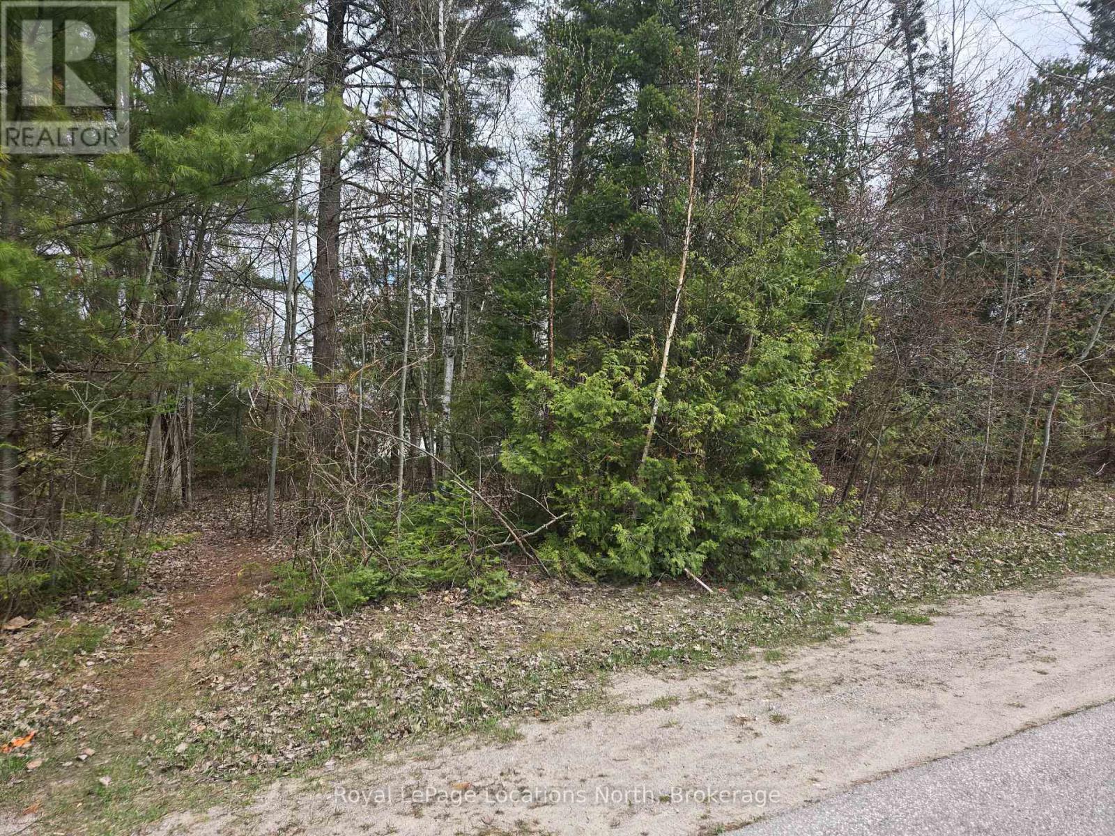101 Sunnidale Road N, Wasaga Beach, Ontario  L9Z 2B8 - Photo 6 - S13097726
