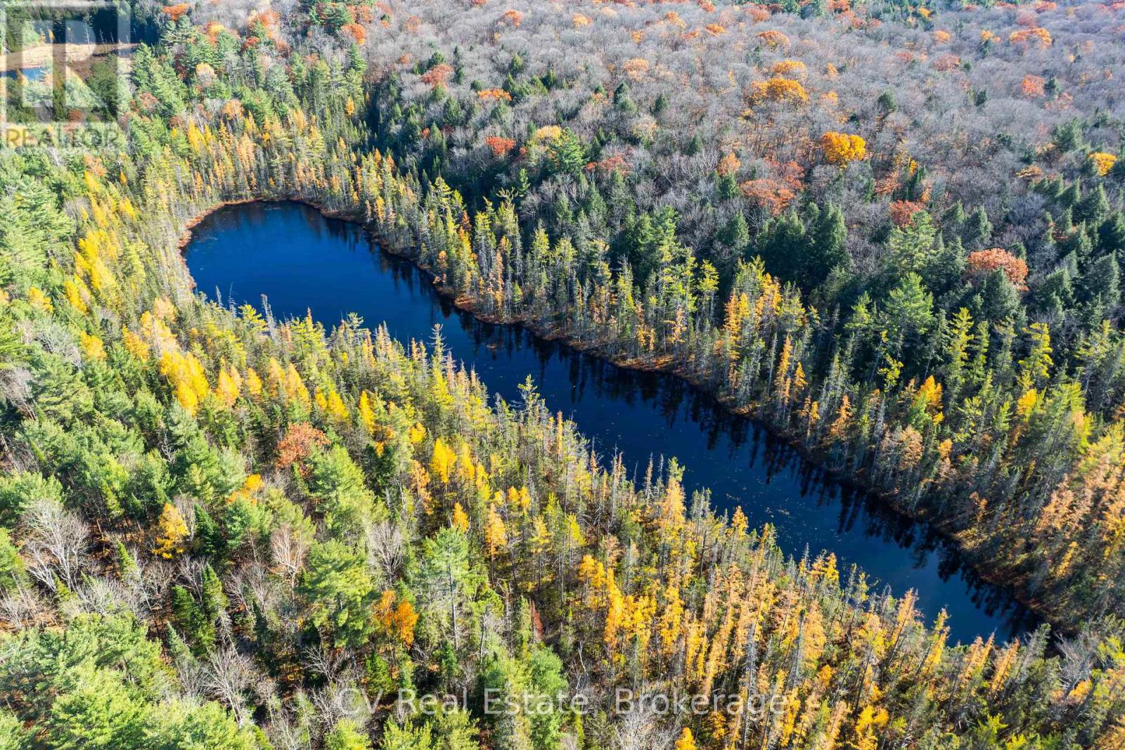 0 Fairy Falls Road, Lake Of Bays, Ontario  P0B 1A0 - Photo 14 - X13093016