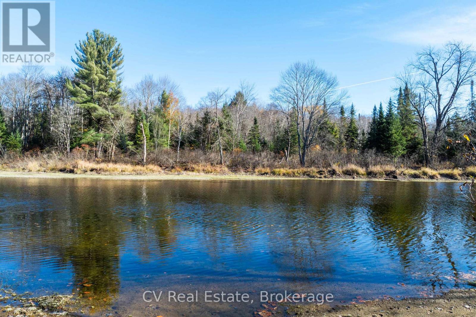 0 Fairy Falls Road, Lake Of Bays, Ontario  P0B 1A0 - Photo 12 - X13093016