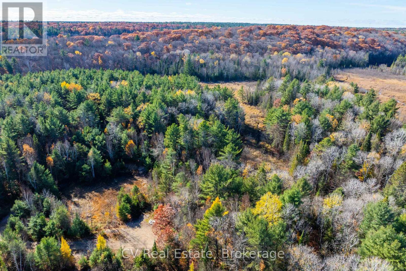 0 Fairy Falls Road, Lake Of Bays, Ontario  P0B 1A0 - Photo 18 - X13093016
