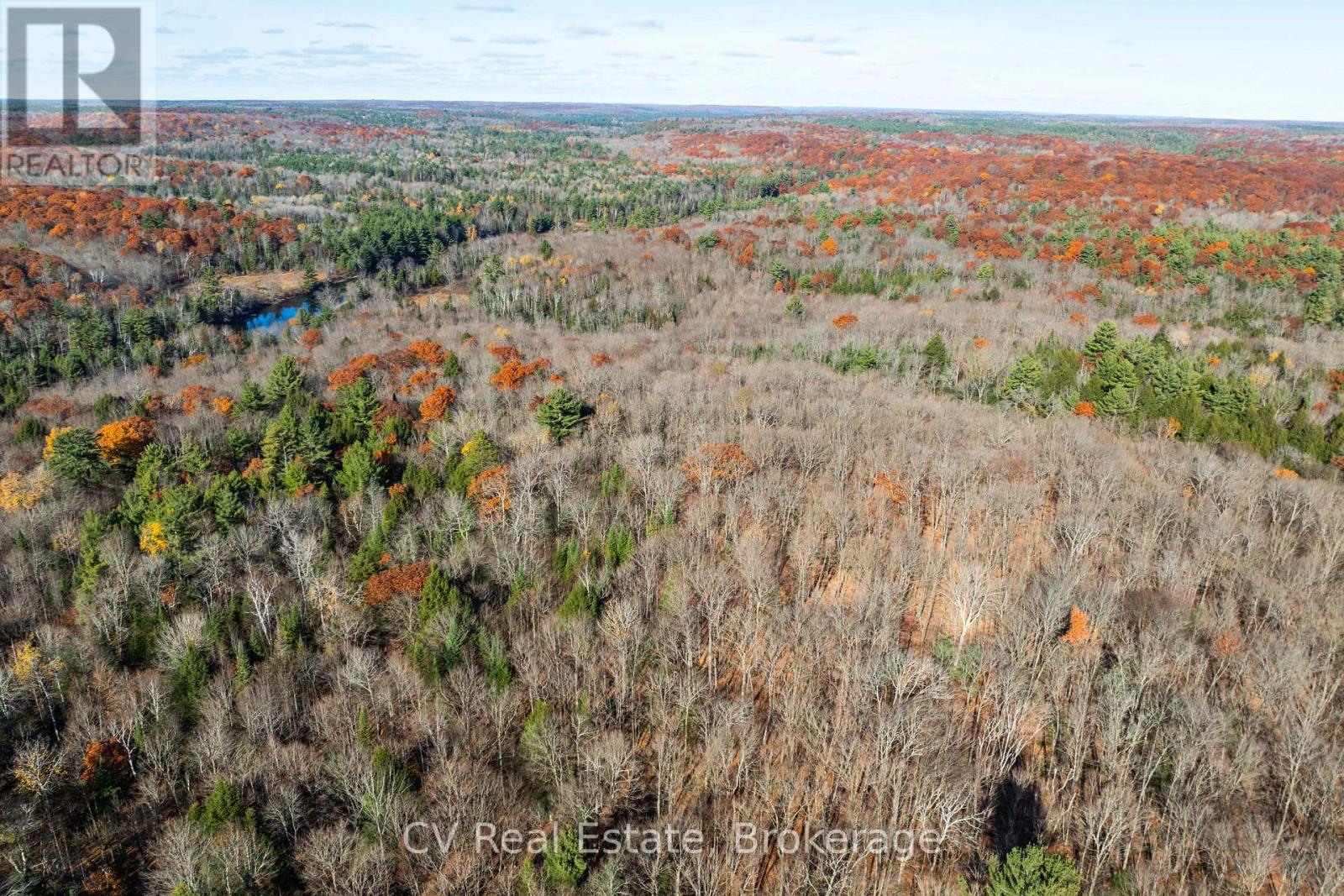 0 Fairy Falls Road, Lake Of Bays, Ontario  P0B 1A0 - Photo 29 - X13093016