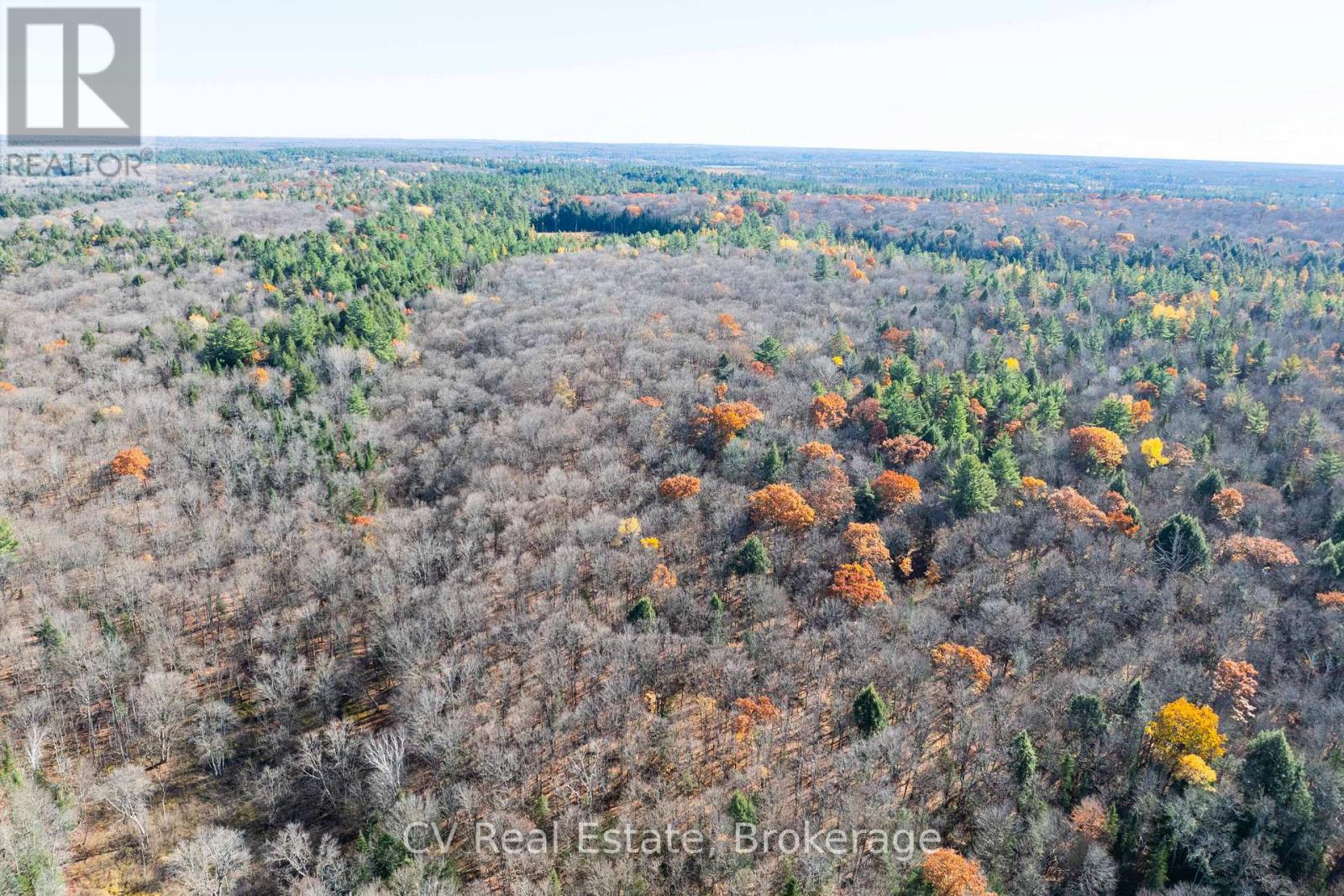 0 Fairy Falls Road, Lake Of Bays, Ontario  P0B 1A0 - Photo 27 - X13093016