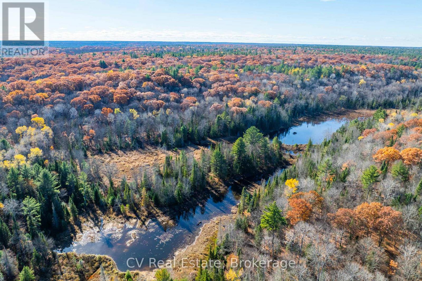 0 Fairy Falls Road, Lake Of Bays, Ontario  P0B 1A0 - Photo 21 - X13093016