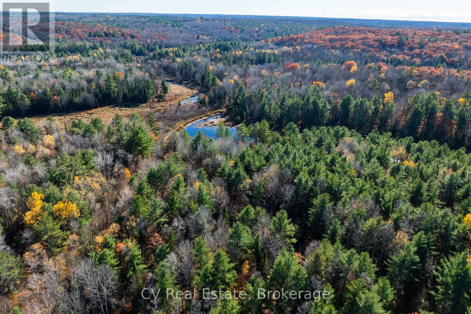 0 Fairy Falls Road, Lake Of Bays, Ontario  P0B 1A0 - Photo 20 - X13093016