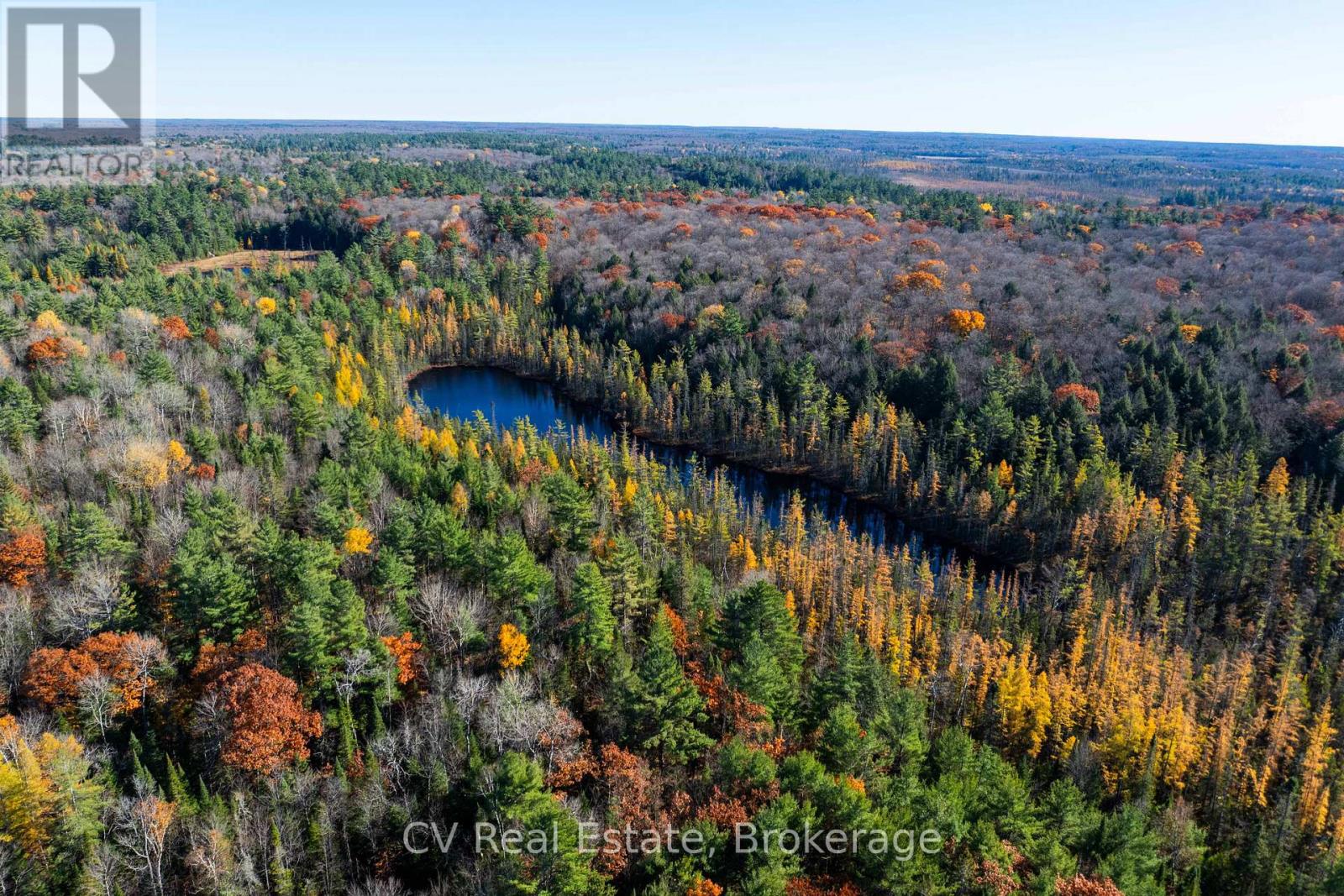 0 Fairy Falls Road, Lake Of Bays, Ontario  P0B 1A0 - Photo 13 - X13093016