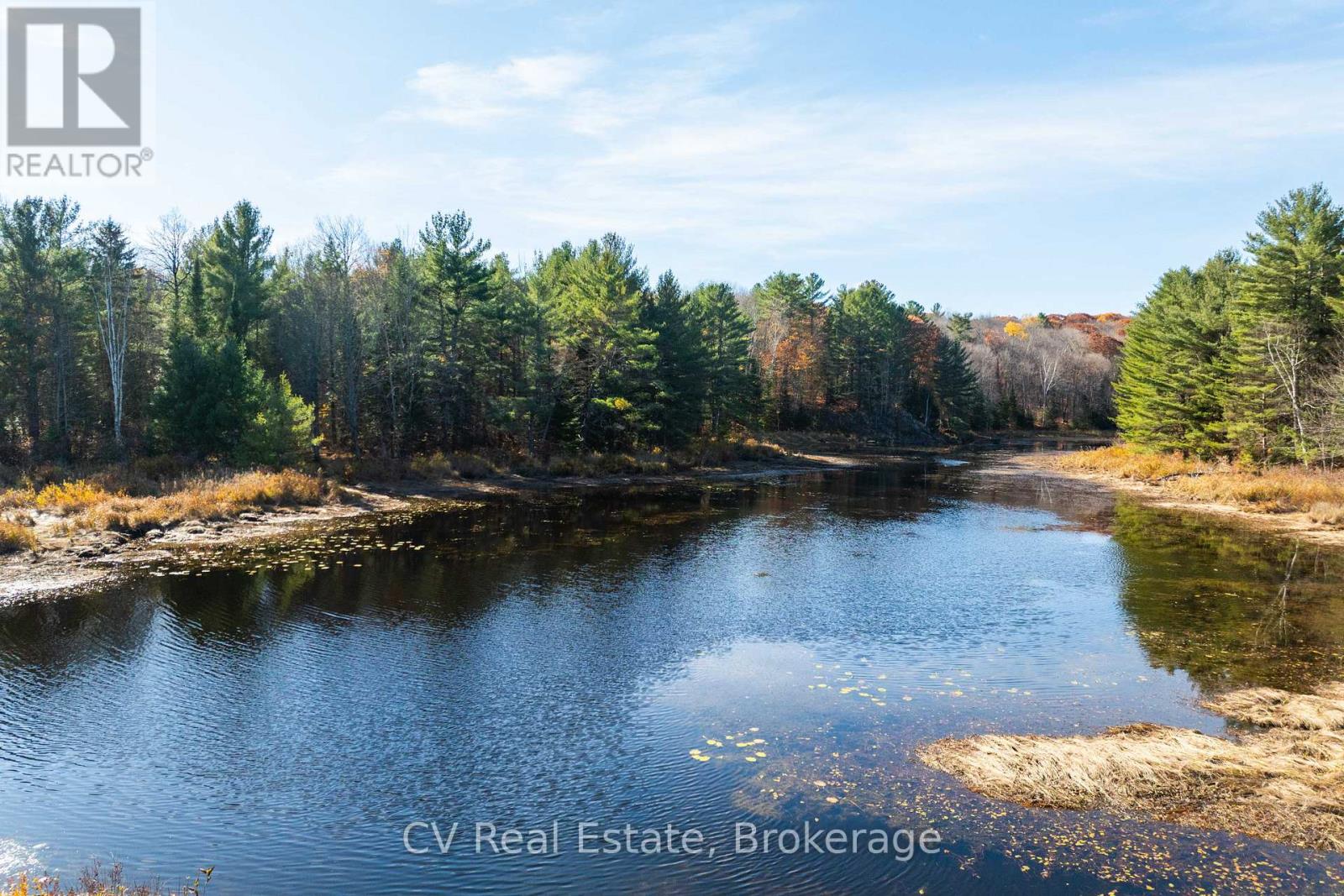 0 Fairy Falls Road, Lake Of Bays, Ontario  P0B 1A0 - Photo 26 - X13093016