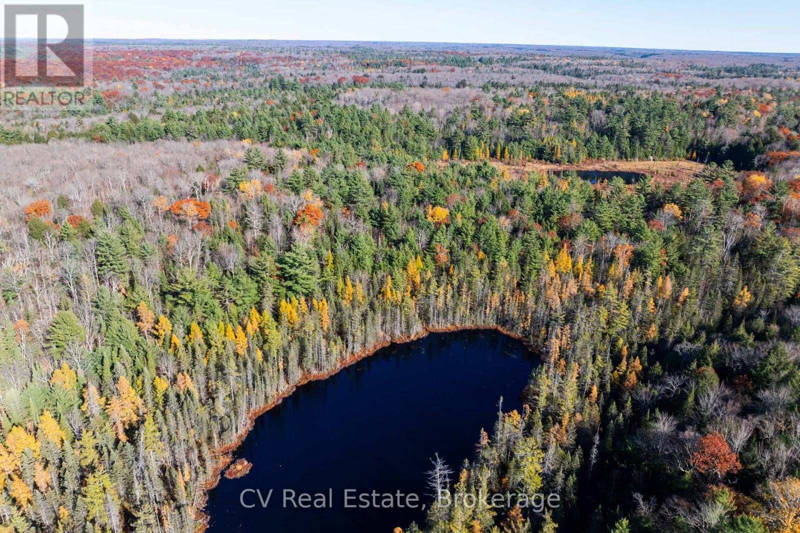 0 Fairy Falls Road, Lake Of Bays, Ontario  P0B 1A0 - Photo 15 - X13093016