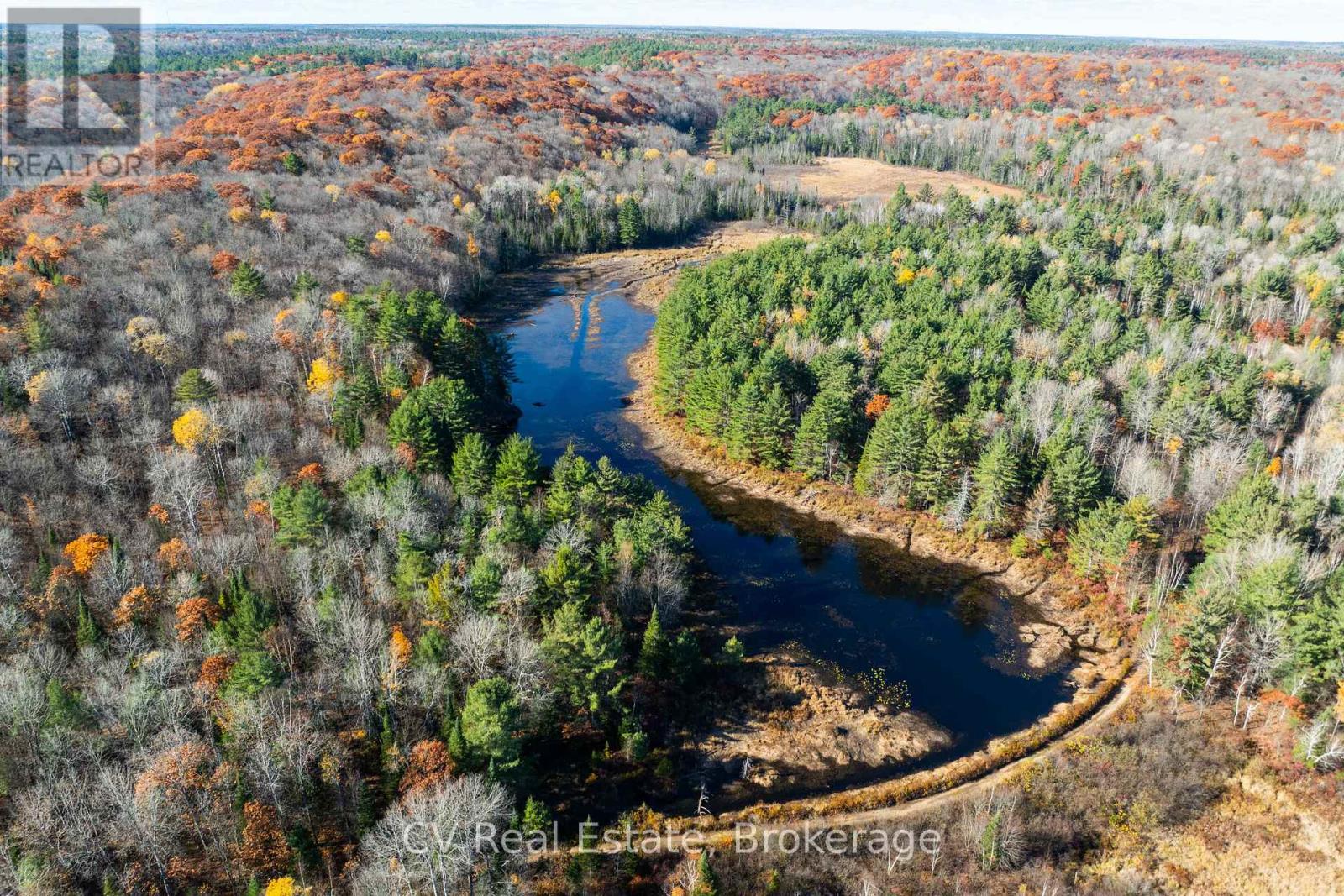 0 Fairy Falls Road, Lake Of Bays, Ontario  P0B 1A0 - Photo 24 - X13093016