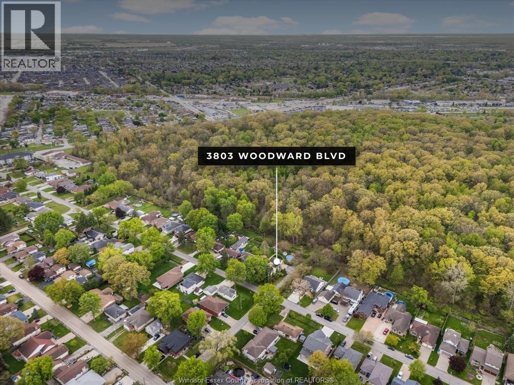 3803 Woodward Boulevard, Windsor, Ontario  N8W 2Z2 - Photo 45 - 26010440