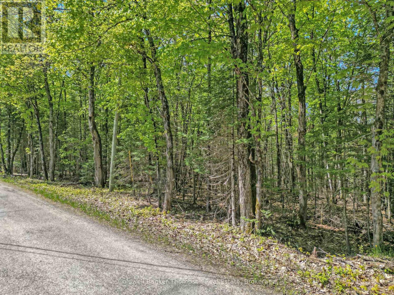 989 North Waseosa Lake Road, Huntsville, Ontario  P1H 2J4 - Photo 5 - X13099030