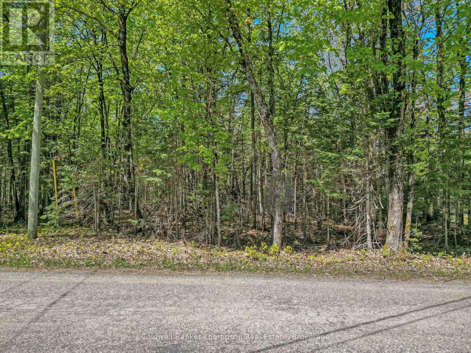 989 North Waseosa Lake Road, Huntsville, Ontario  P1H 2J4 - Photo 6 - X13099030