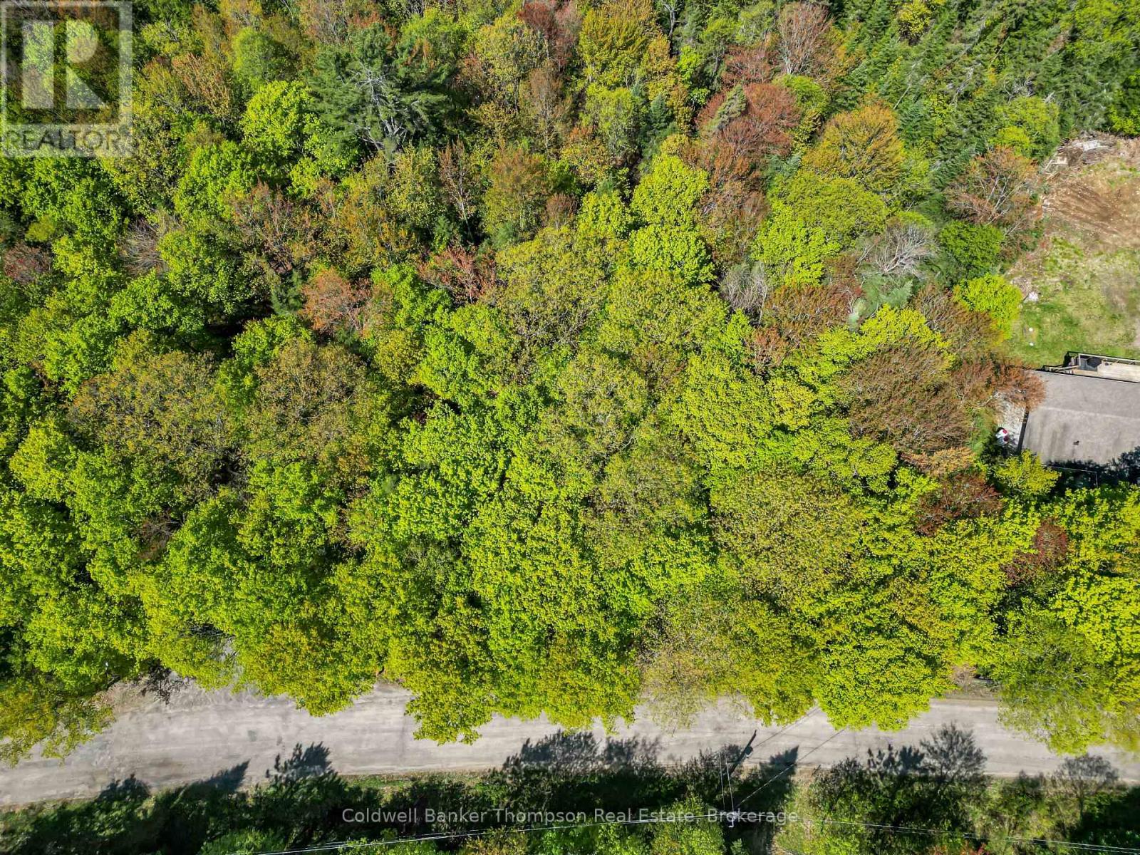 989 North Waseosa Lake Road, Huntsville, Ontario  P1H 2J4 - Photo 7 - X13099030