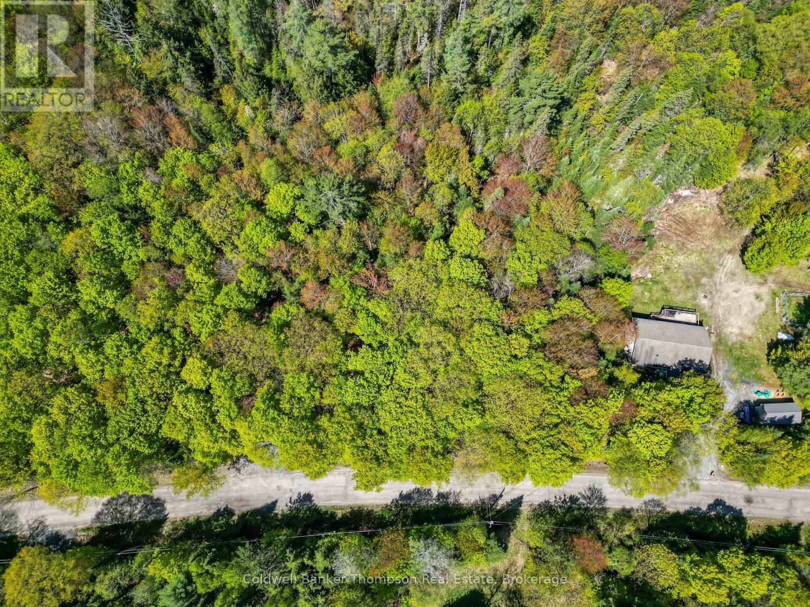 989 North Waseosa Lake Road, Huntsville, Ontario  P1H 2J4 - Photo 8 - X13099030