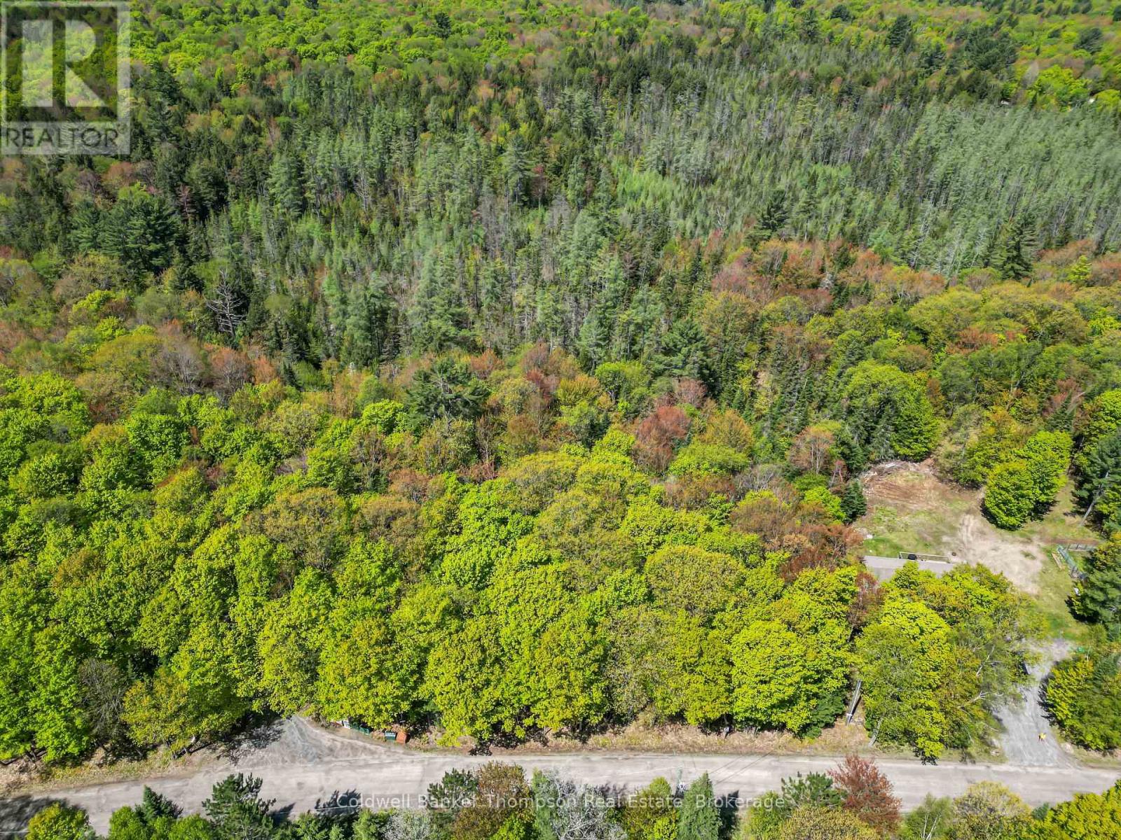989 North Waseosa Lake Road, Huntsville, Ontario  P1H 2J4 - Photo 9 - X13099030