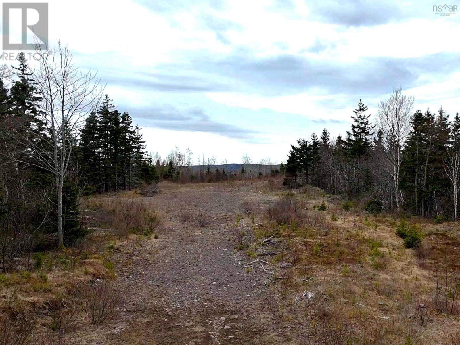 Louisbourg Highway, Catalone, Nova Scotia  B1C 2E6 - Photo 2 - 202610134