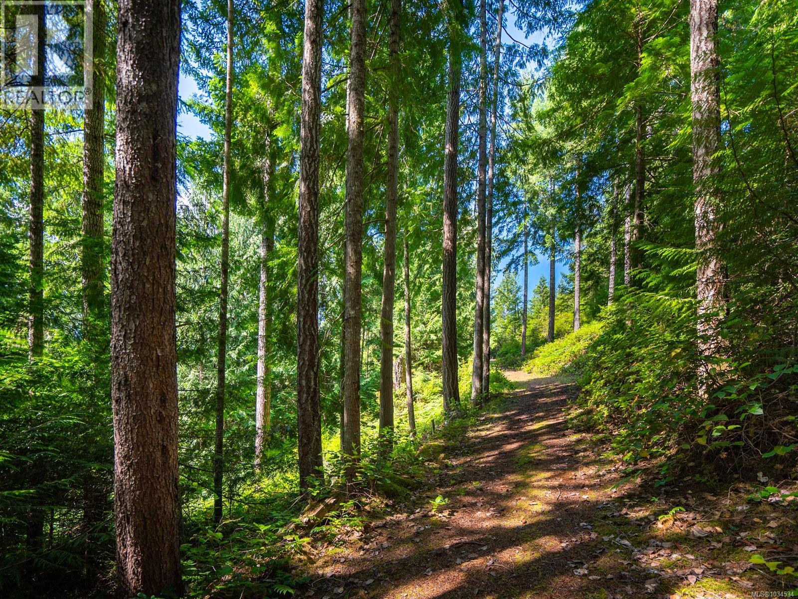 1055 Spider Lake Rd, Qualicum Beach, British Columbia  V9K 2L7 - Photo 82 - 1034534