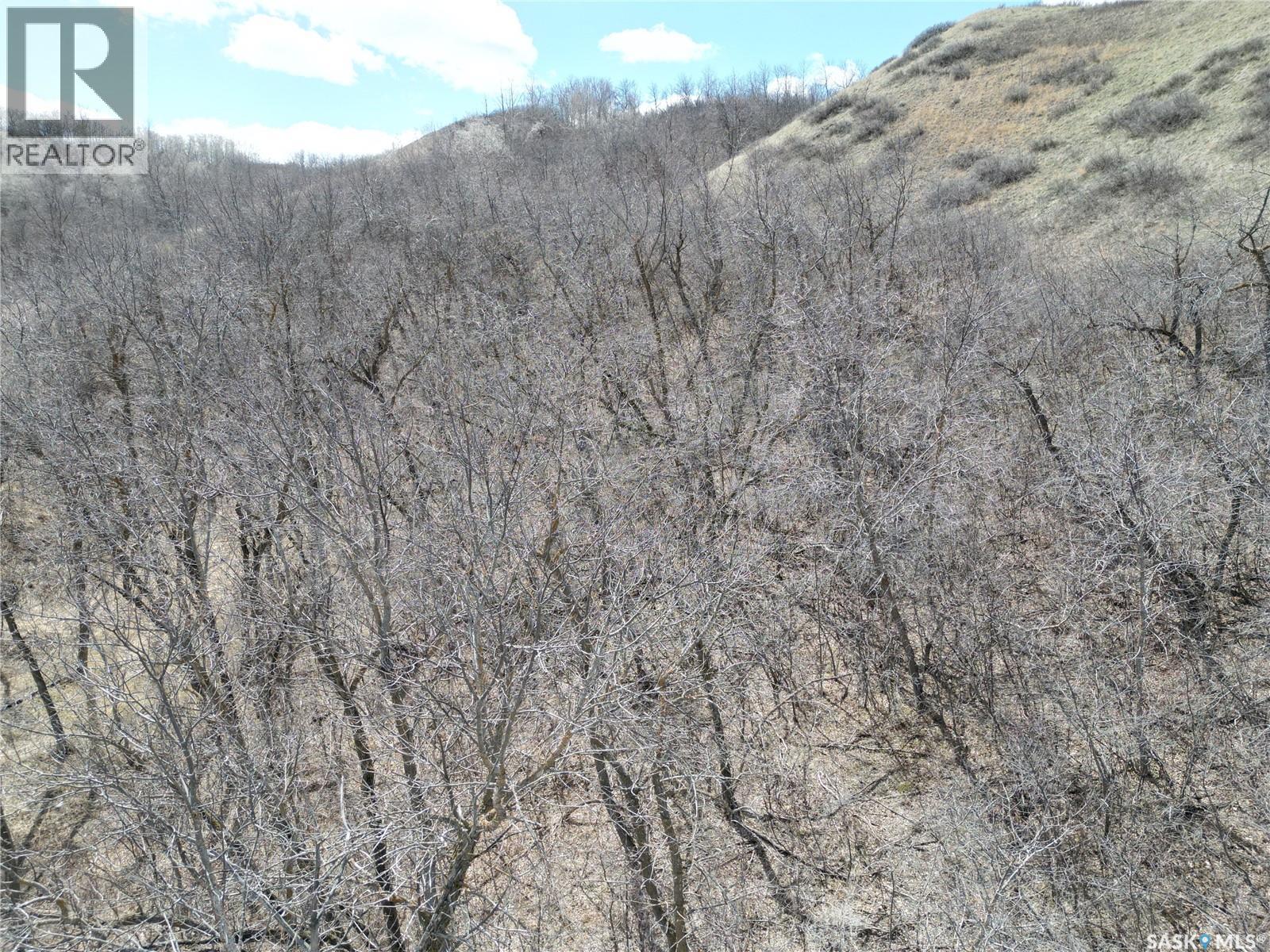 60 R Place, North Qu'appelle Rm No. 187, Saskatchewan  S0G 1S0 - Photo 4 - SK035087