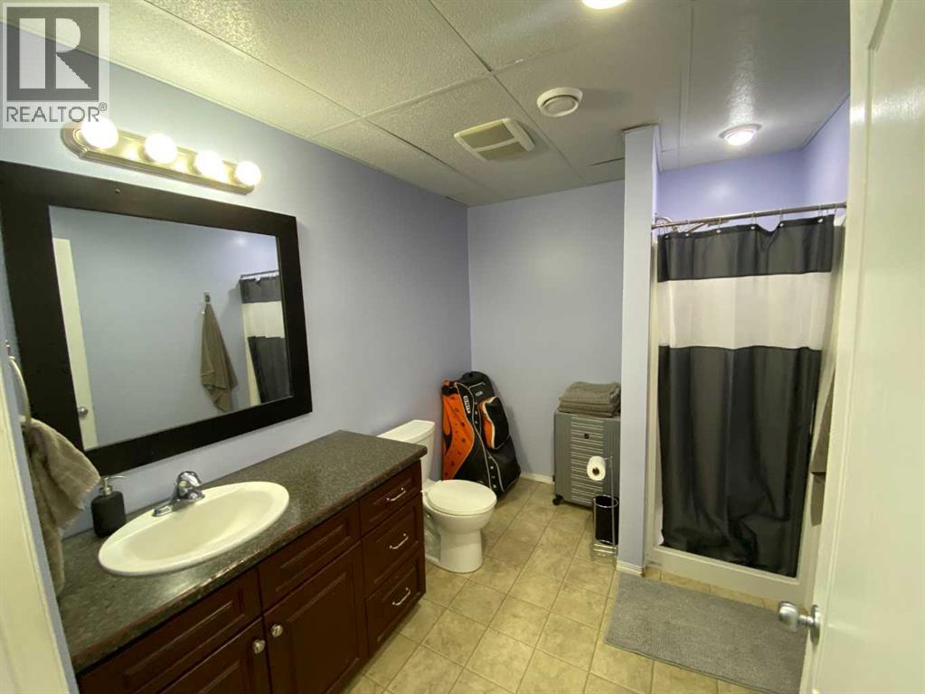 12 Pleasant Park Place W, Brooks, Alberta  T1R 1N3 - Photo 12 - A2280041