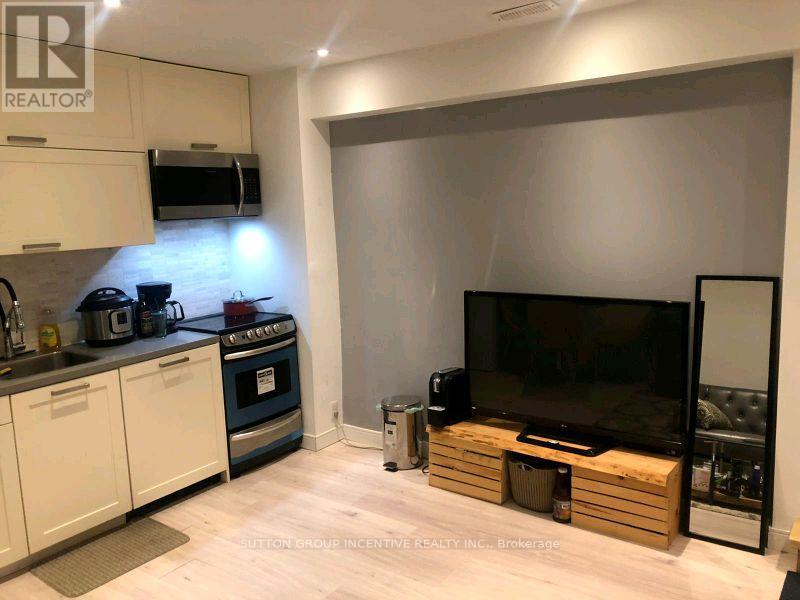 Lower 1 - 233 Ellerslie Avenue, Toronto, Ontario  M2N 1Y3 - Photo 3 - C13099372
