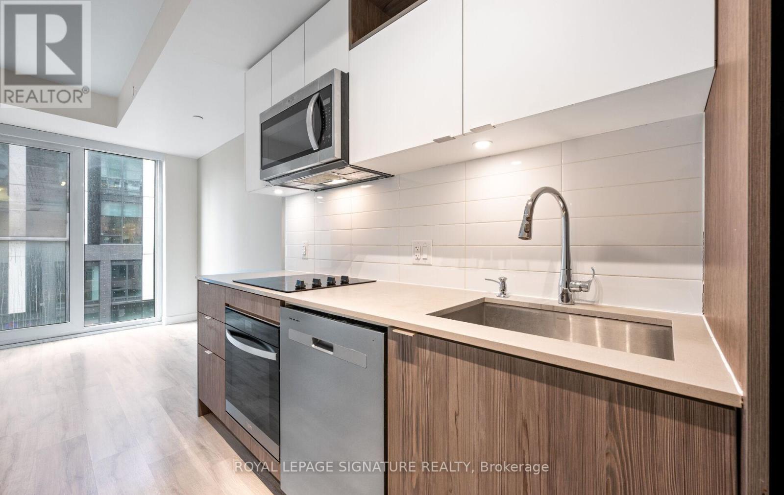 315 - 100 Dalhousie Street, Toronto, Ontario  M5B 1E1 - Photo 14 - C13099390