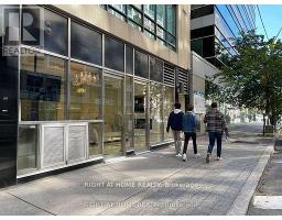 101 - 263 WELLINGTON STREET W, Toronto, Ontario