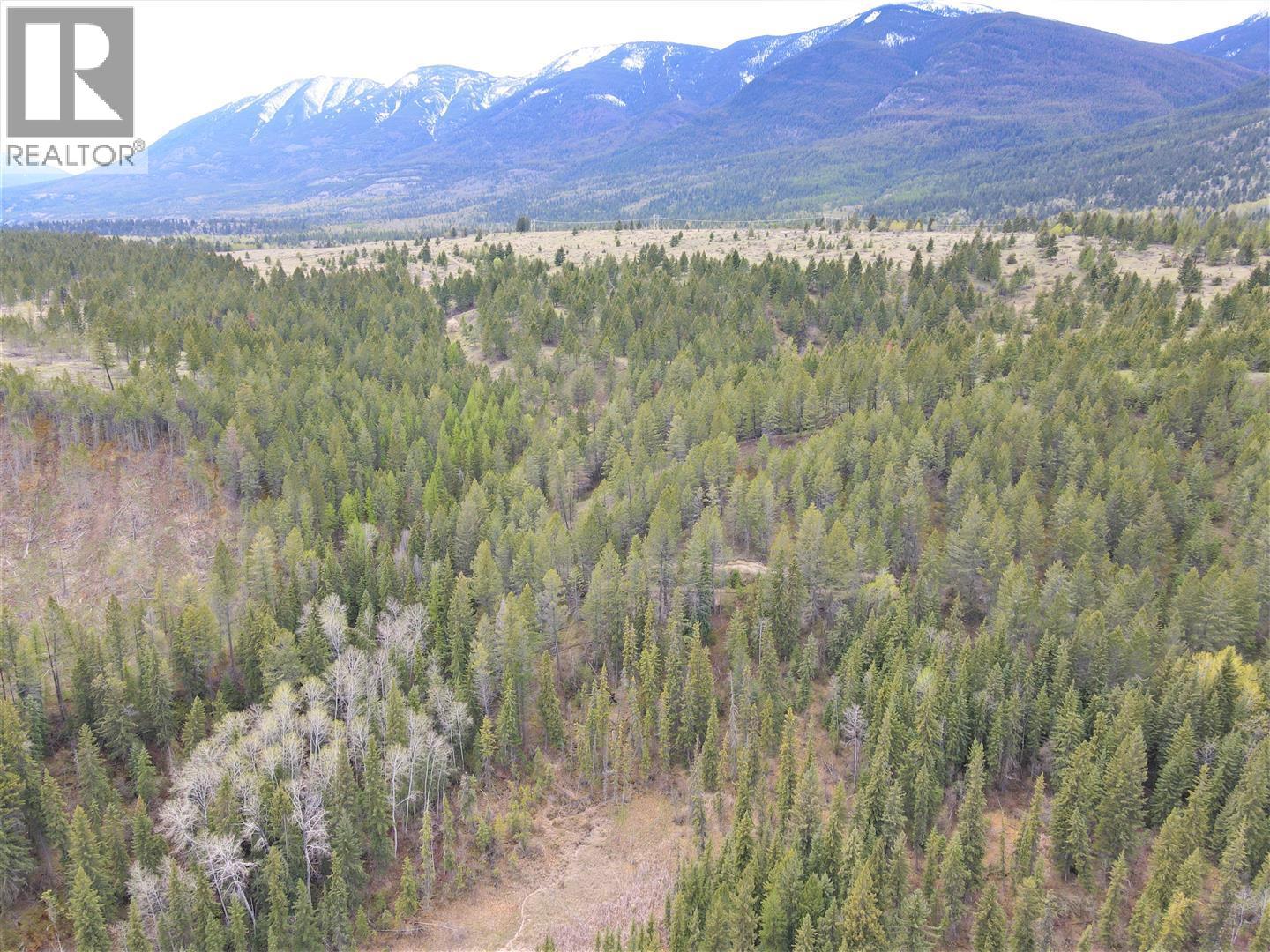 Lot 1 Hardie Creek Road, Fairmont Hot Springs, British Columbia  V0B 1L2 - Photo 11 - 10386642