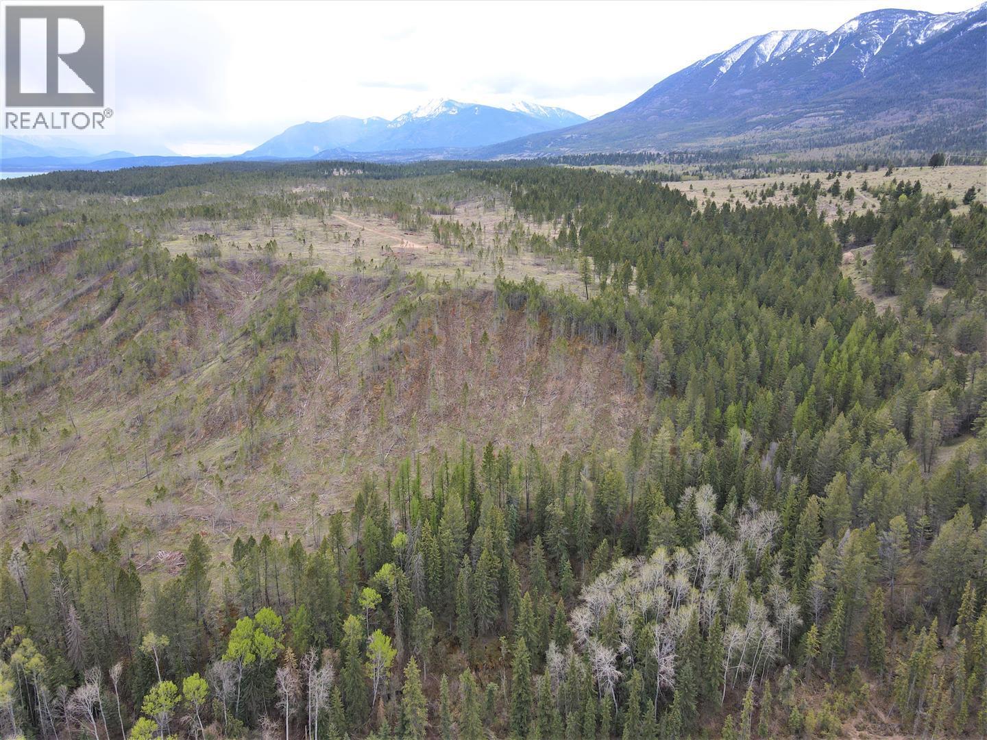 Lot 1 Hardie Creek Road, Fairmont Hot Springs, British Columbia  V0B 1L2 - Photo 12 - 10386642