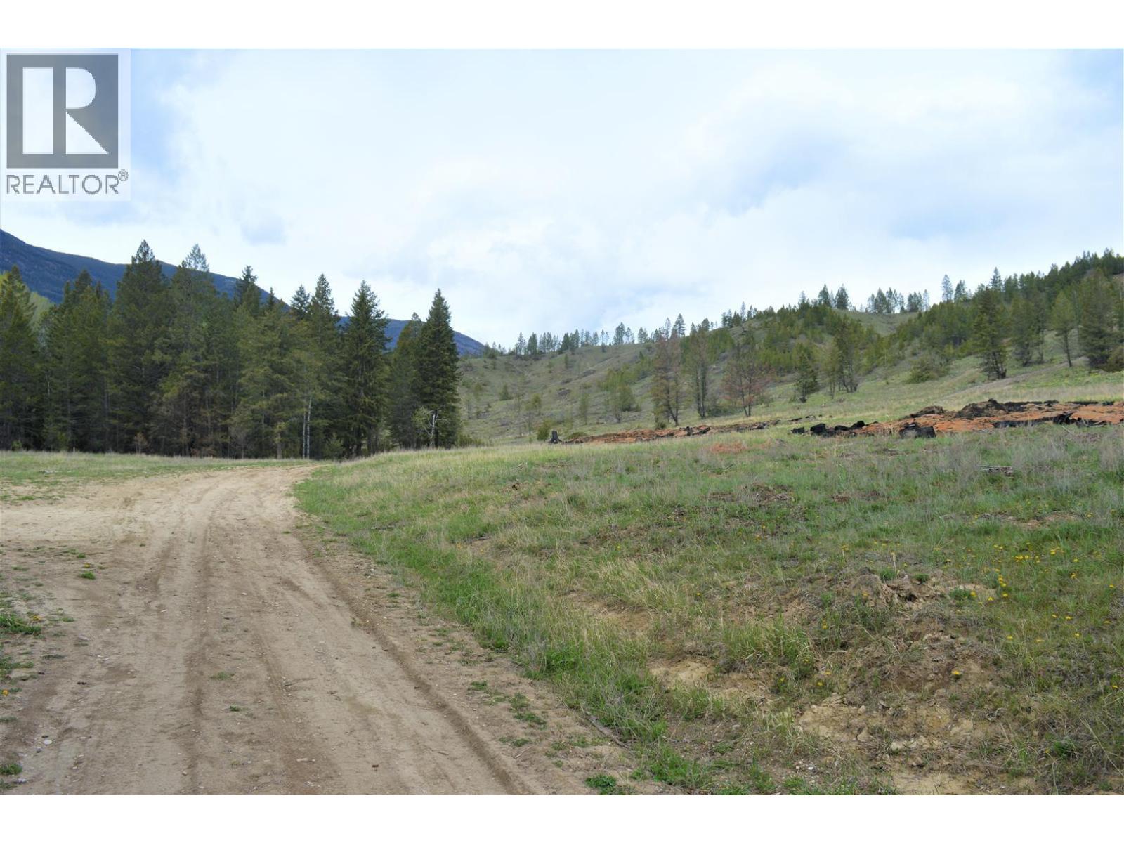 Lot 1 Hardie Creek Road, Fairmont Hot Springs, British Columbia  V0B 1L2 - Photo 22 - 10386642