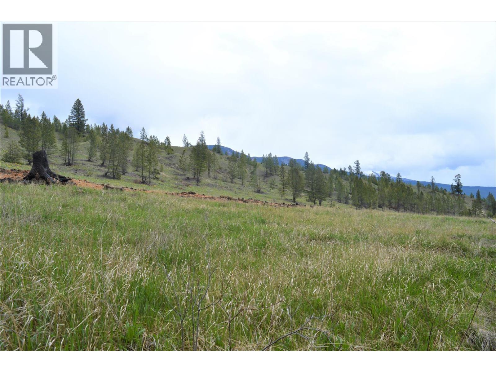 Lot 1 Hardie Creek Road, Fairmont Hot Springs, British Columbia  V0B 1L2 - Photo 29 - 10386642