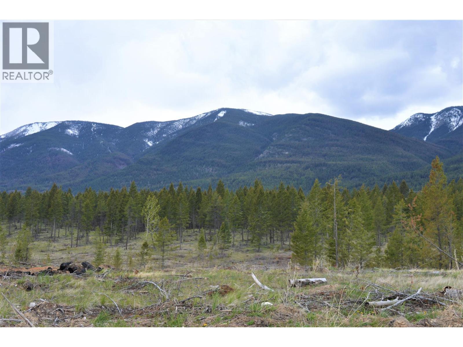 Lot 1 Hardie Creek Road, Fairmont Hot Springs, British Columbia  V0B 1L2 - Photo 33 - 10386642