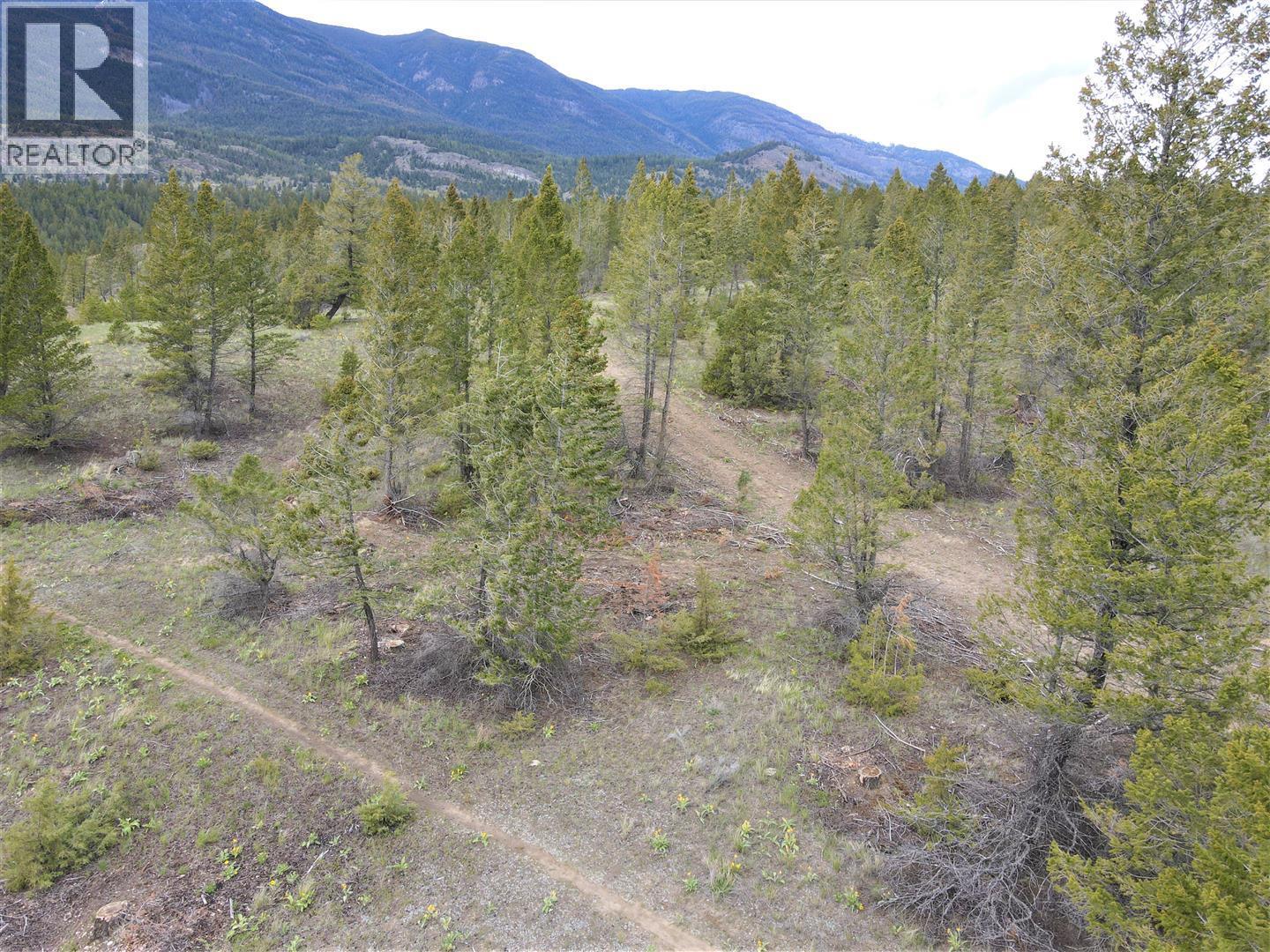 Lot 1 Hardie Creek Road, Fairmont Hot Springs, British Columbia  V0B 1L2 - Photo 5 - 10386642