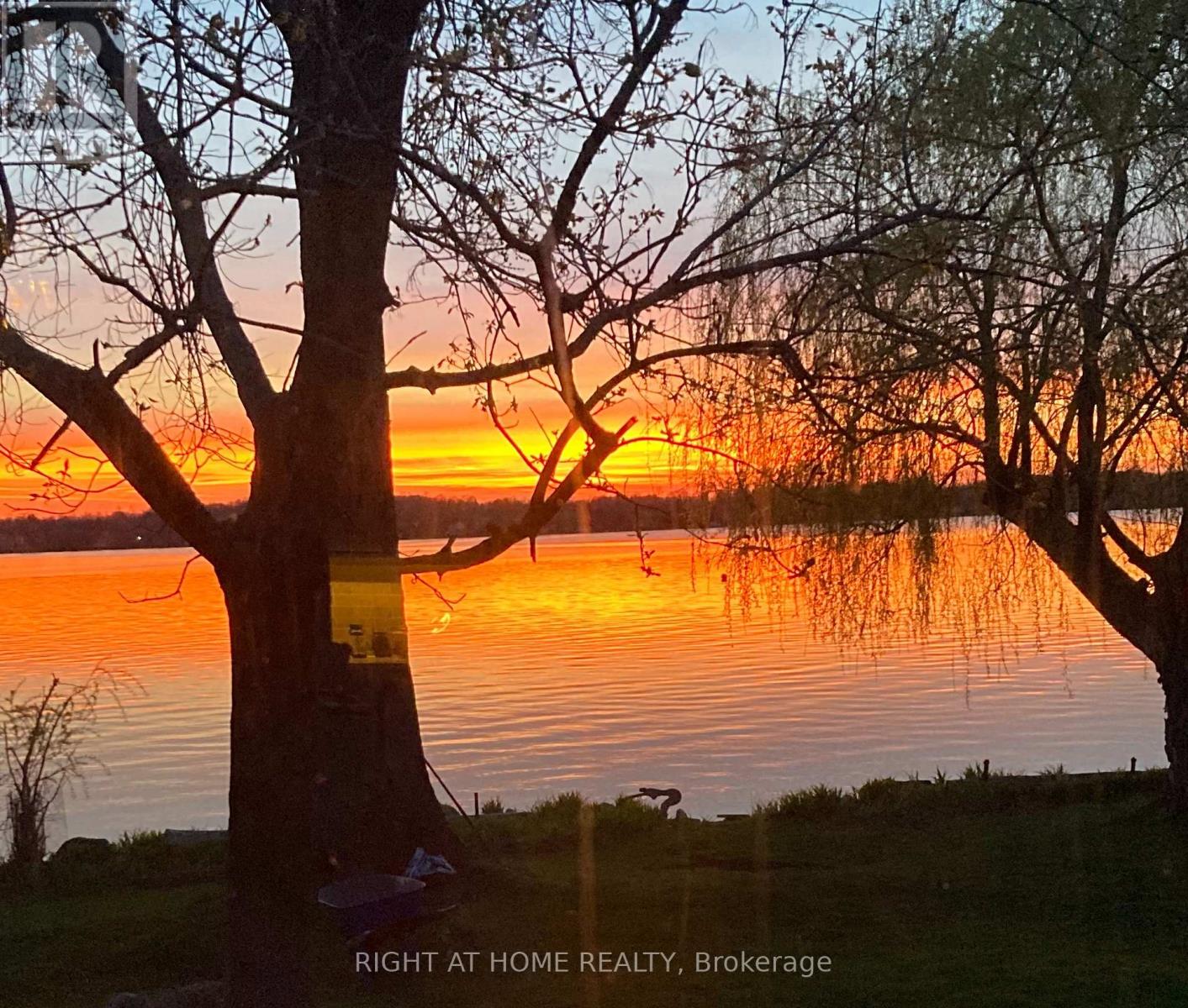 28 Birch Island Road, Scugog, Ontario L0B 1K0 - Photo 27 - E13048620