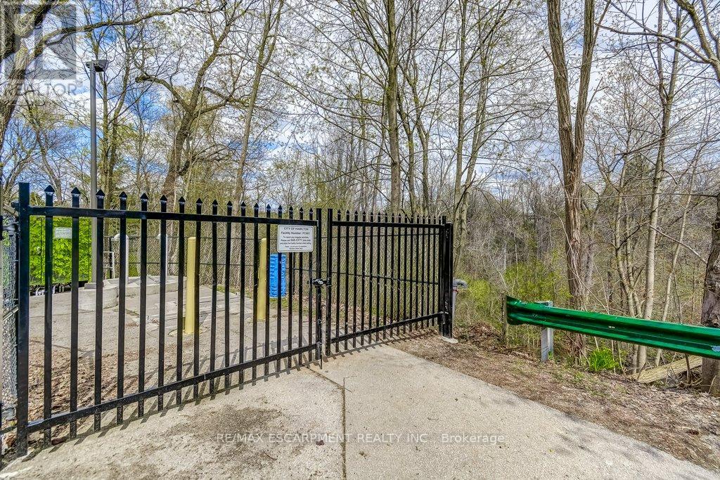 121 Elgin Street, Hamilton, Ontario  L0R 2H0 - Photo 40 - X13099666