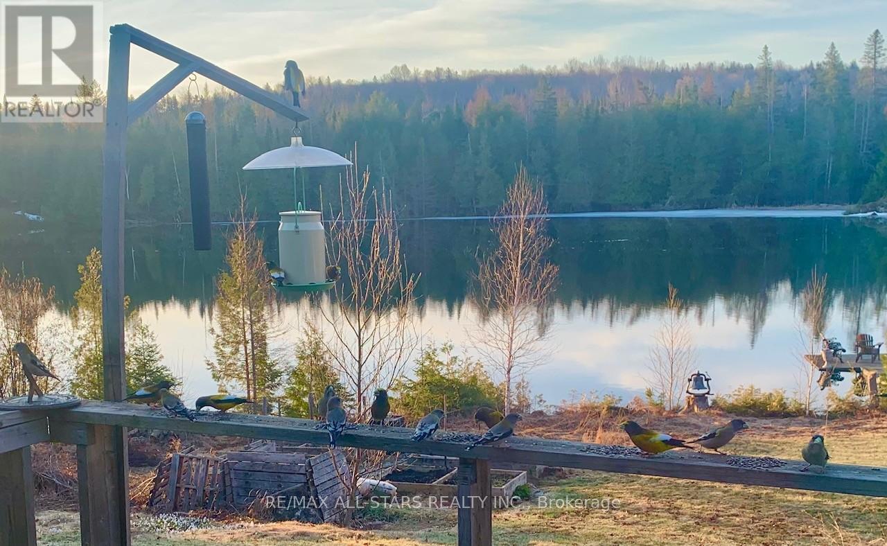 213 Connemara Lane, Greater Madawaska, Ontario  K0J 2R0 - Photo 44 - X13096466