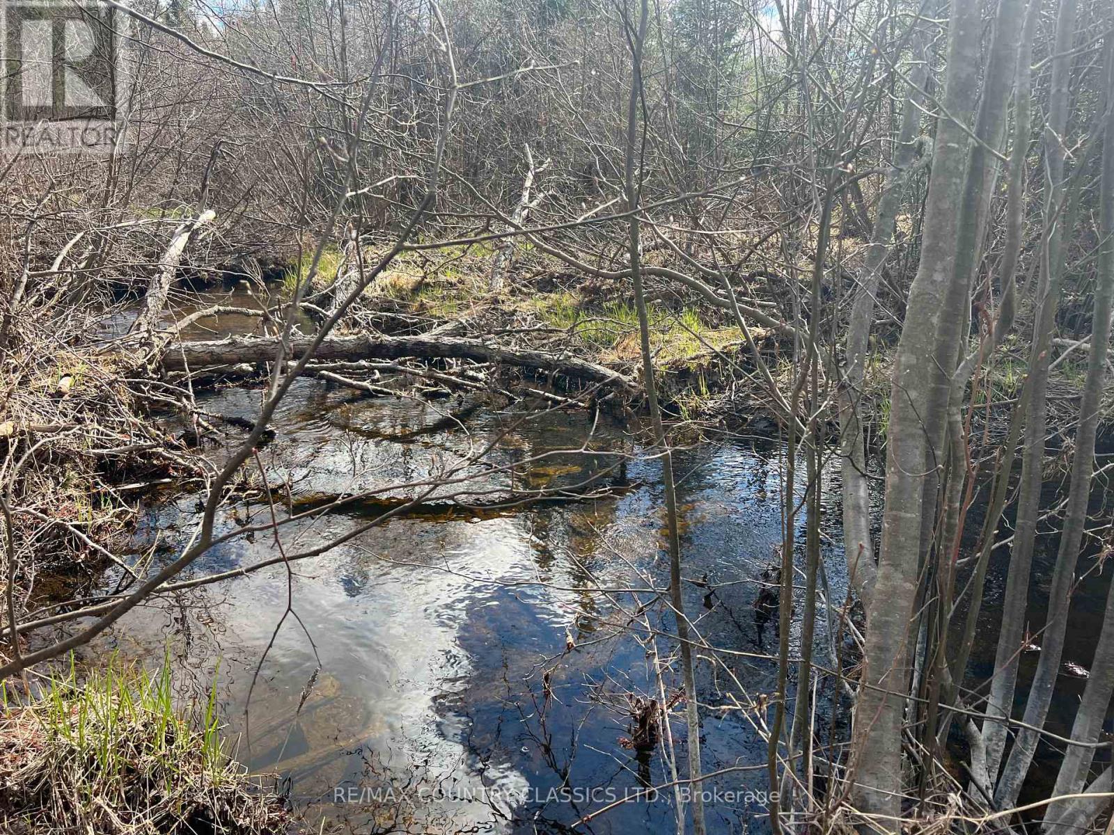634 Lower Turriff Road, Bancroft, Ontario  K0L 2L0 - Photo 14 - X12960390