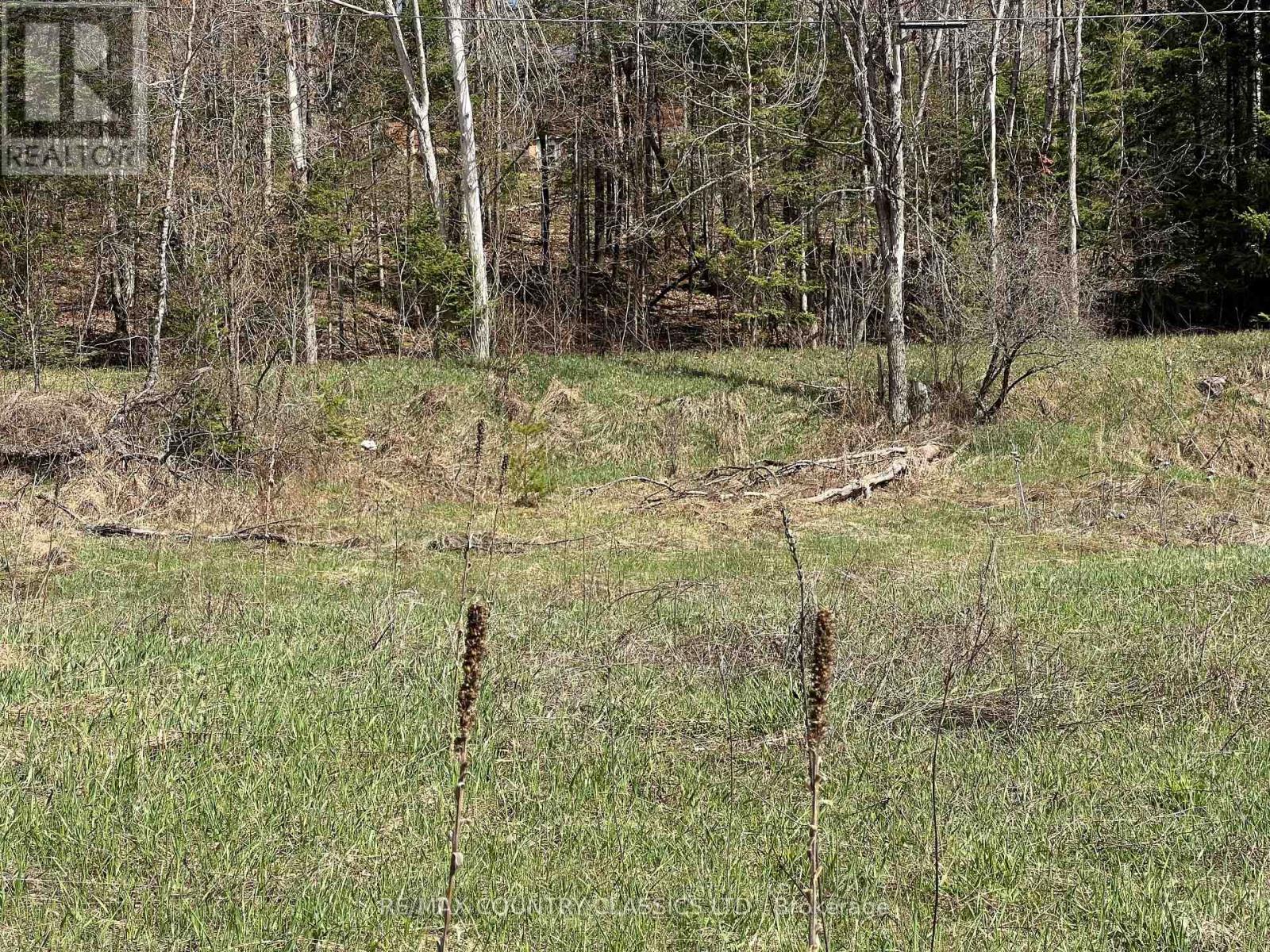 634 Lower Turriff Road, Bancroft, Ontario  K0L 2L0 - Photo 31 - X12960390