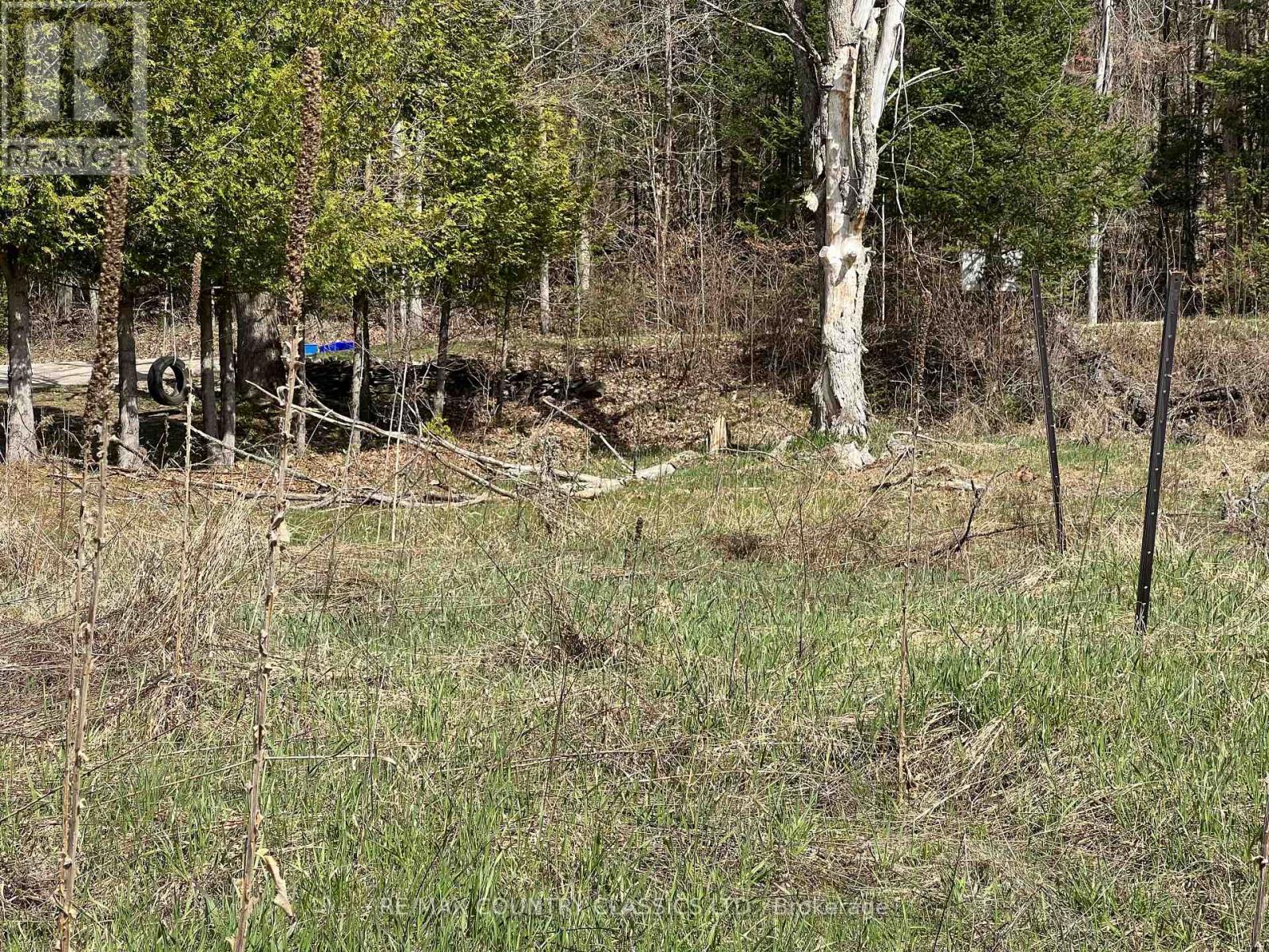 634 Lower Turriff Road, Bancroft, Ontario  K0L 2L0 - Photo 30 - X12960390