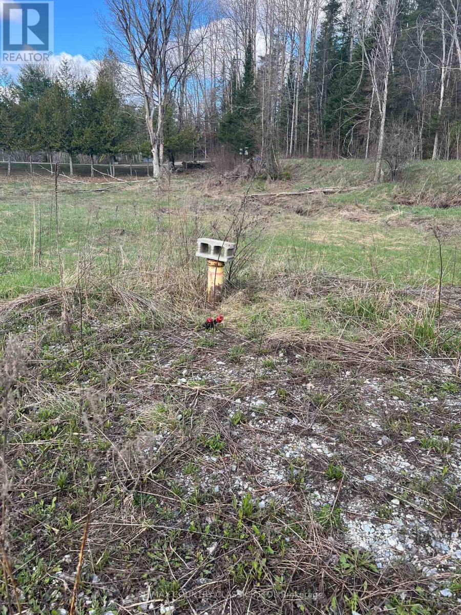 634 Lower Turriff Road, Bancroft, Ontario  K0L 2L0 - Photo 37 - X12960390
