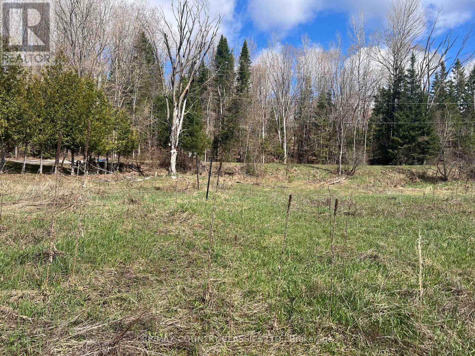 634 Lower Turriff Road, Bancroft, Ontario  K0L 2L0 - Photo 34 - X12960390